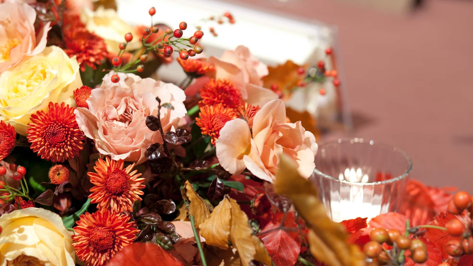 Flowers close up