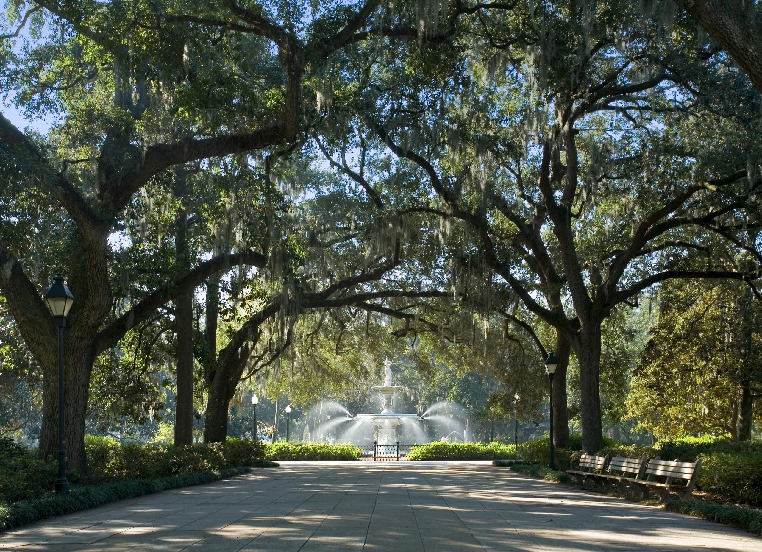 Savannah