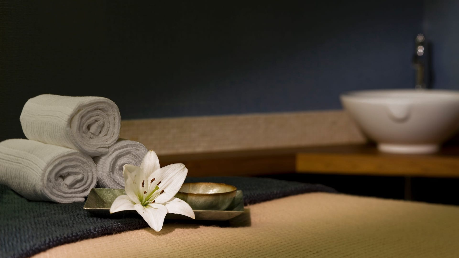 Hyatt Regency Mission Bay Spa and Marina Treatment Room