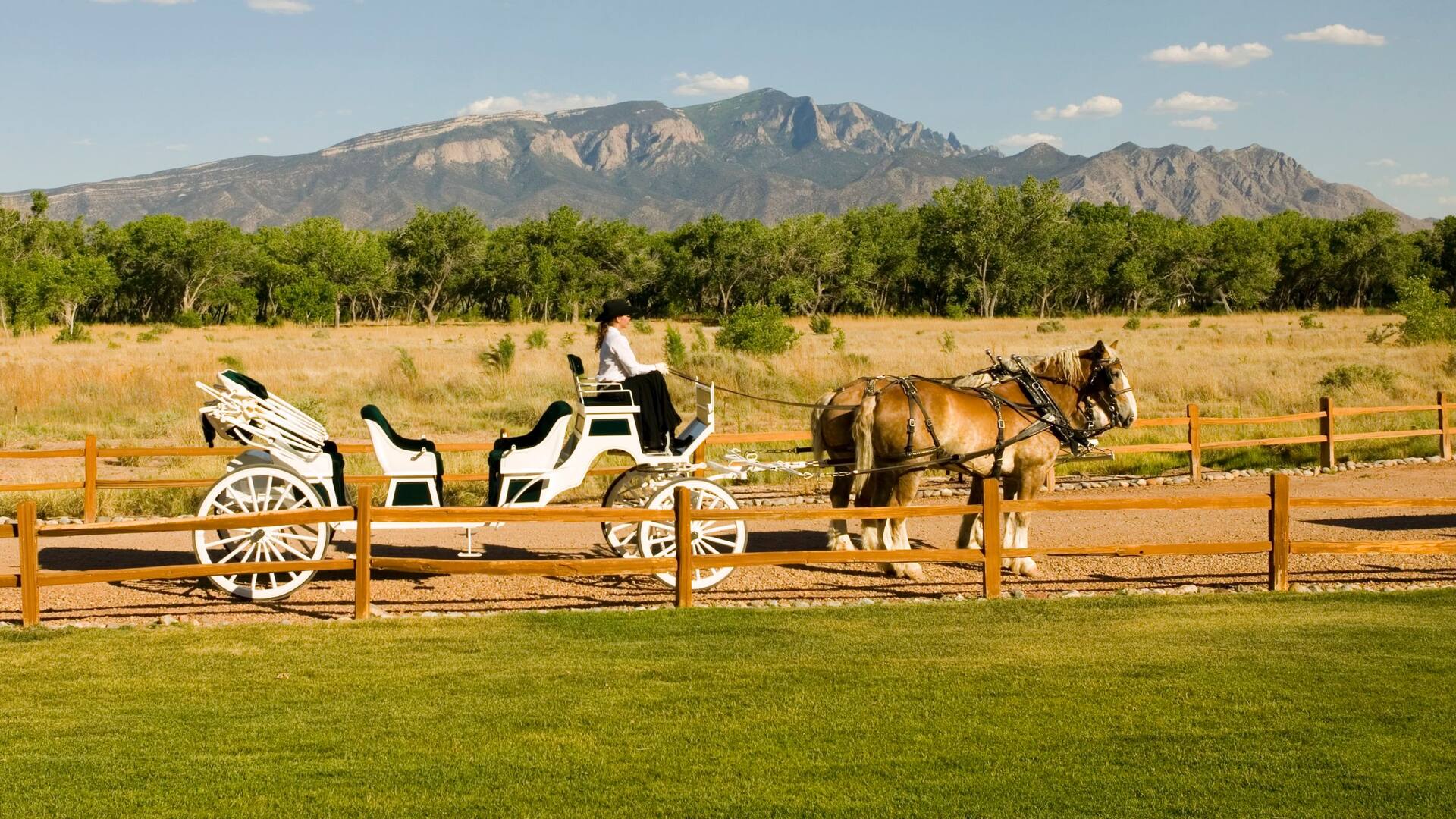 Horse and Buggy Hyatt Regency Tamaya Resort & Spa