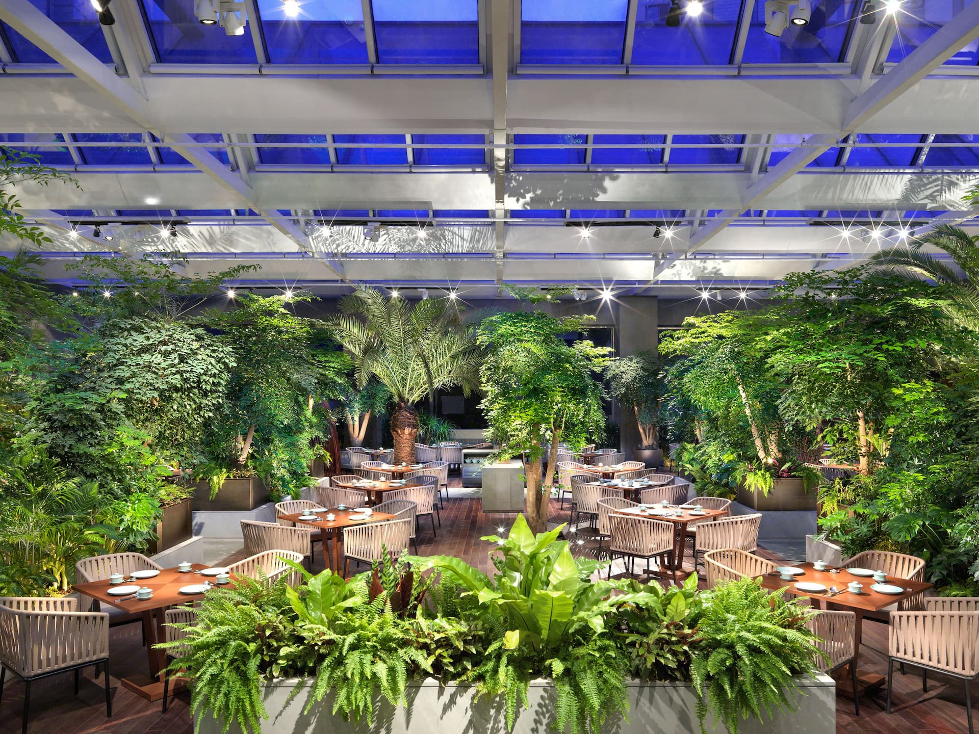 Hyatt Regency Tianjin East Wok In The Garden