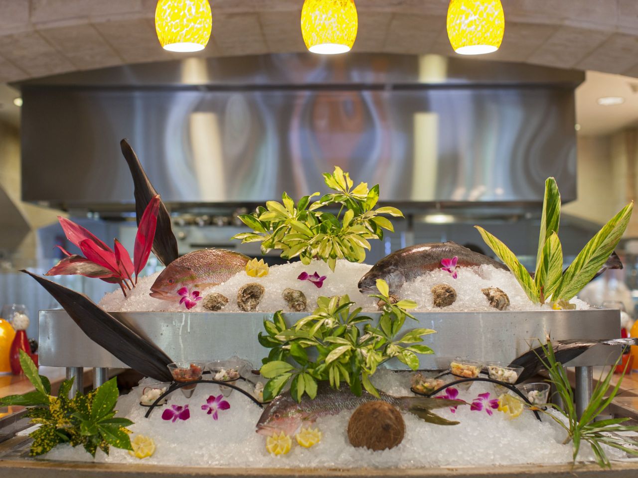 Tarpon Bay Ceviche Bar