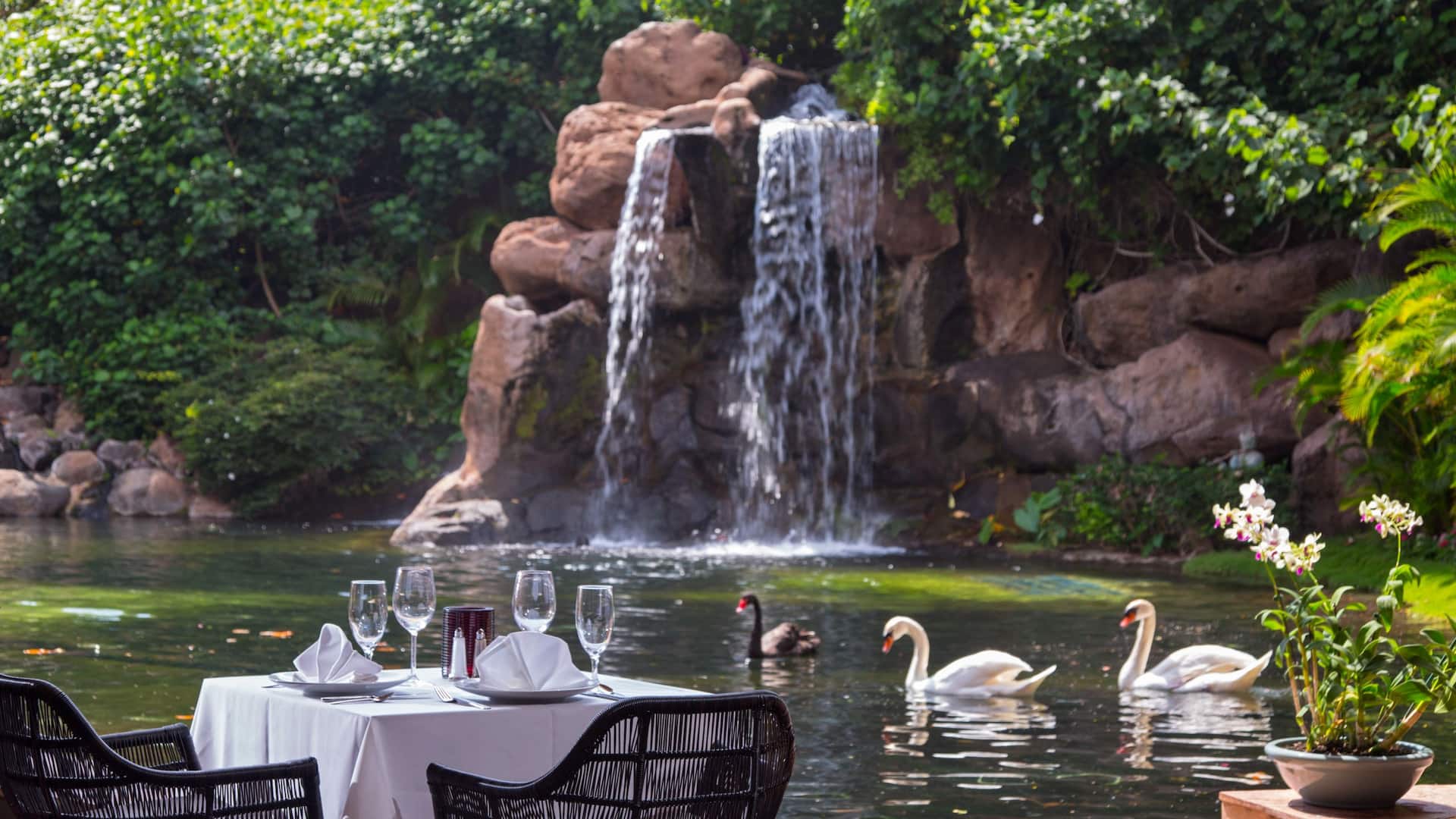 Hyatt Regency Maui Resort and Spa Swancourt Evening Table