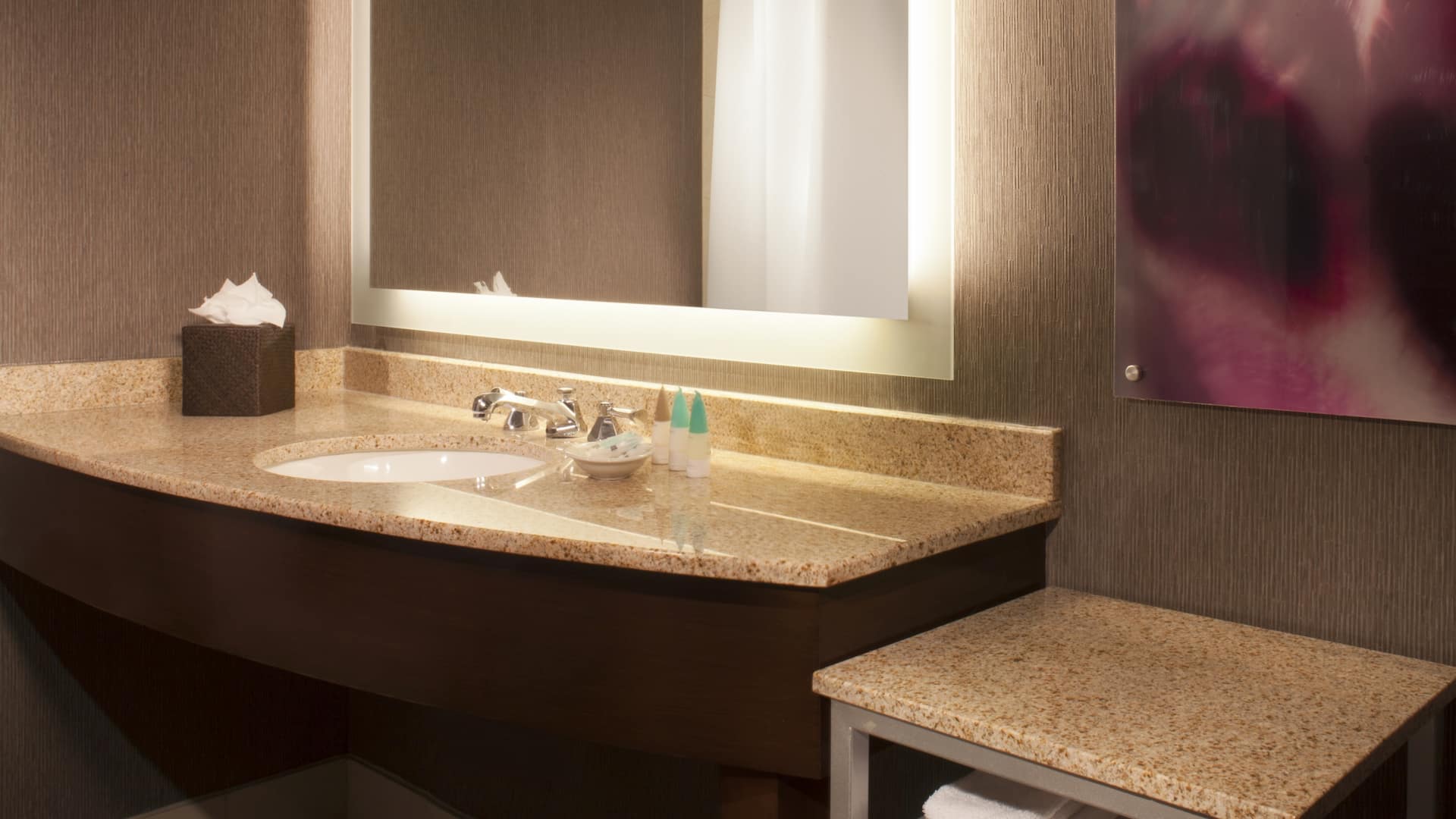 2/2 Hyatt Regency Long Island Bathroom
