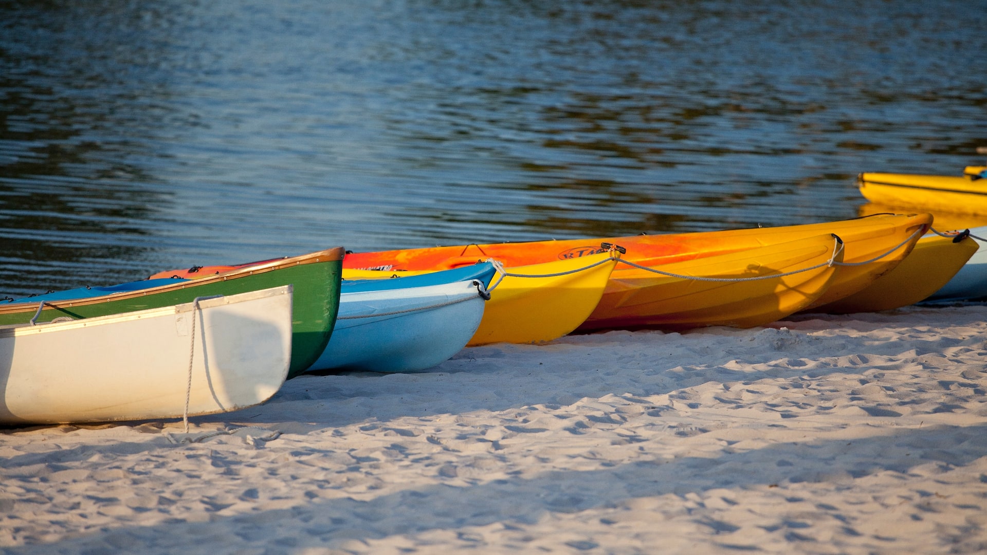 Hyatt Regency Grand Cypress Boats