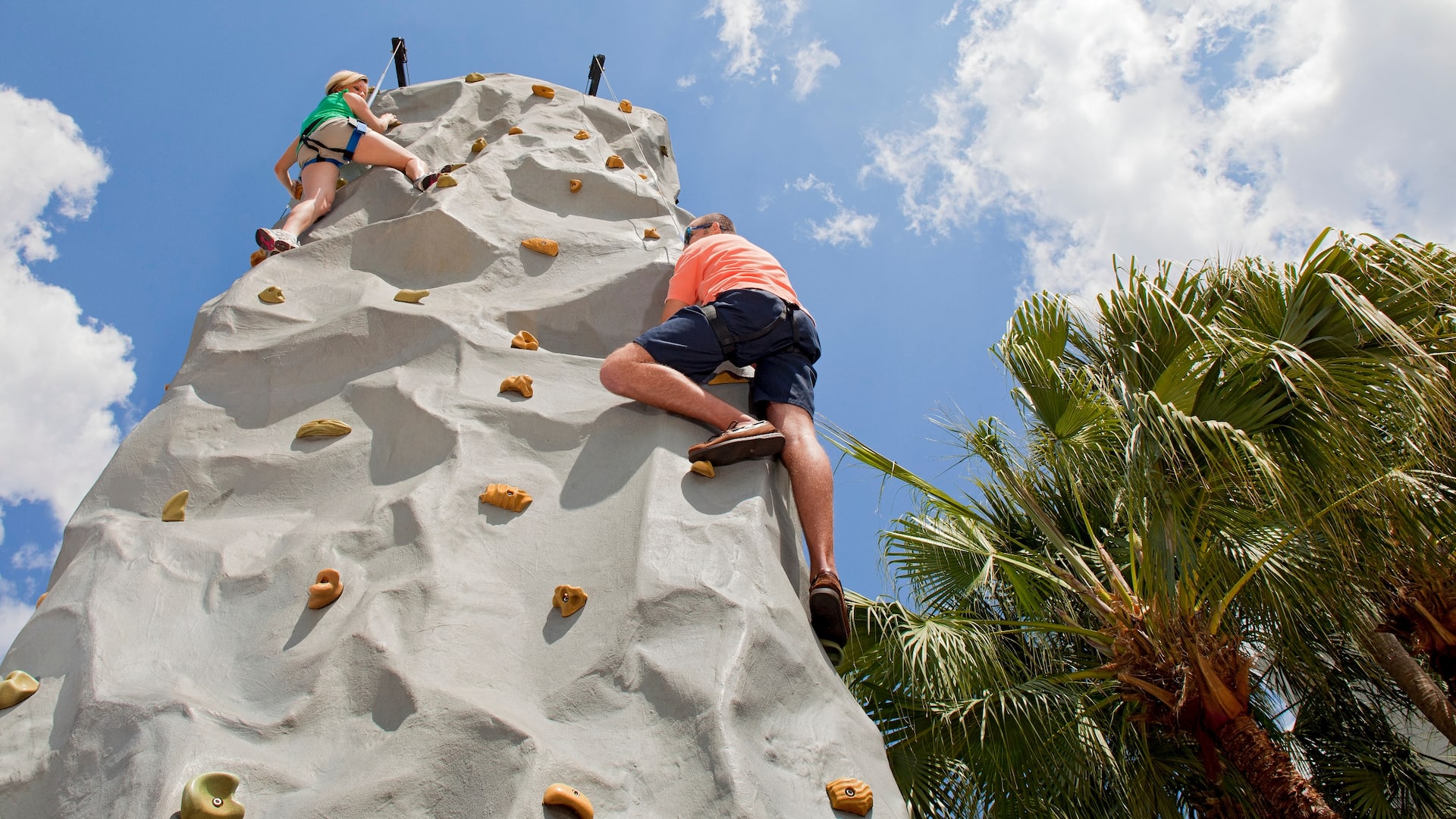 Hyatt Regency Grand Cypress Rock Climbing