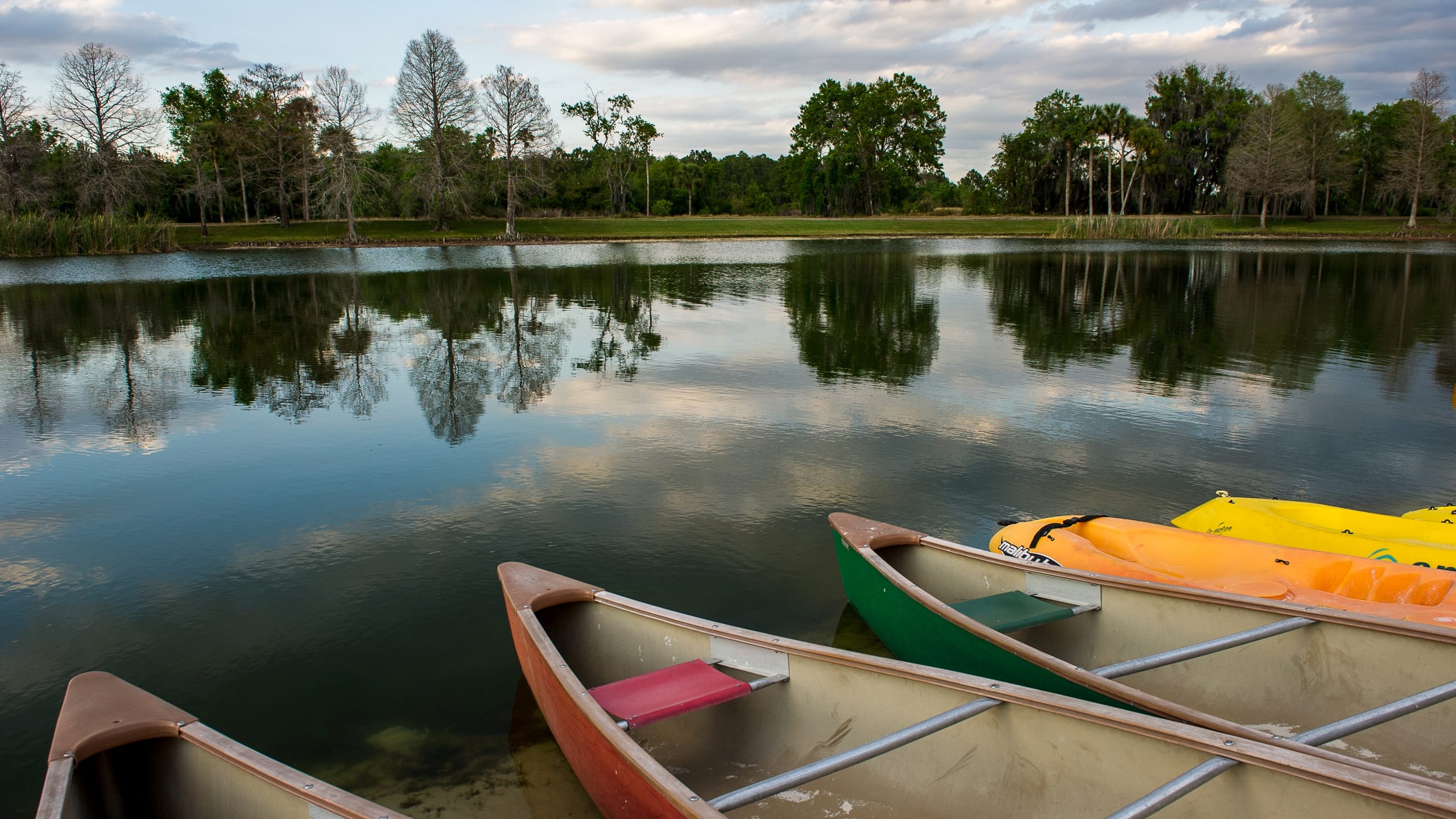 Hyatt Regency Grand Cypress Paddleboats on Lake