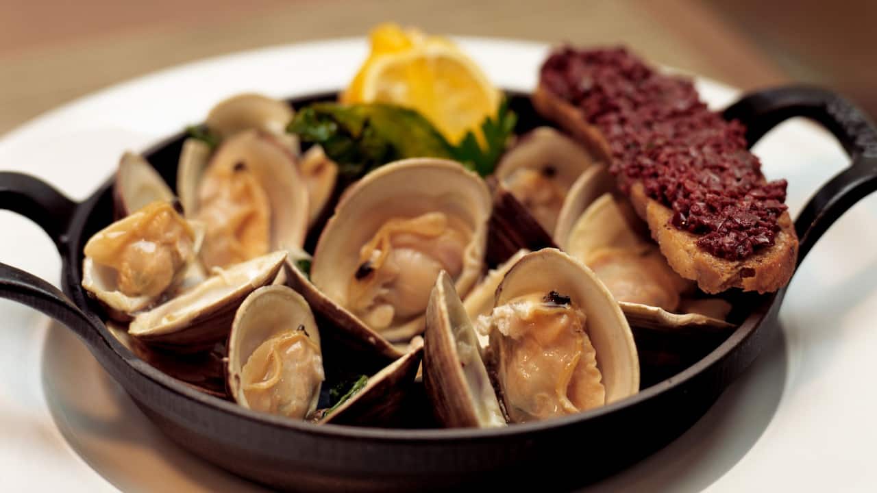 Clams