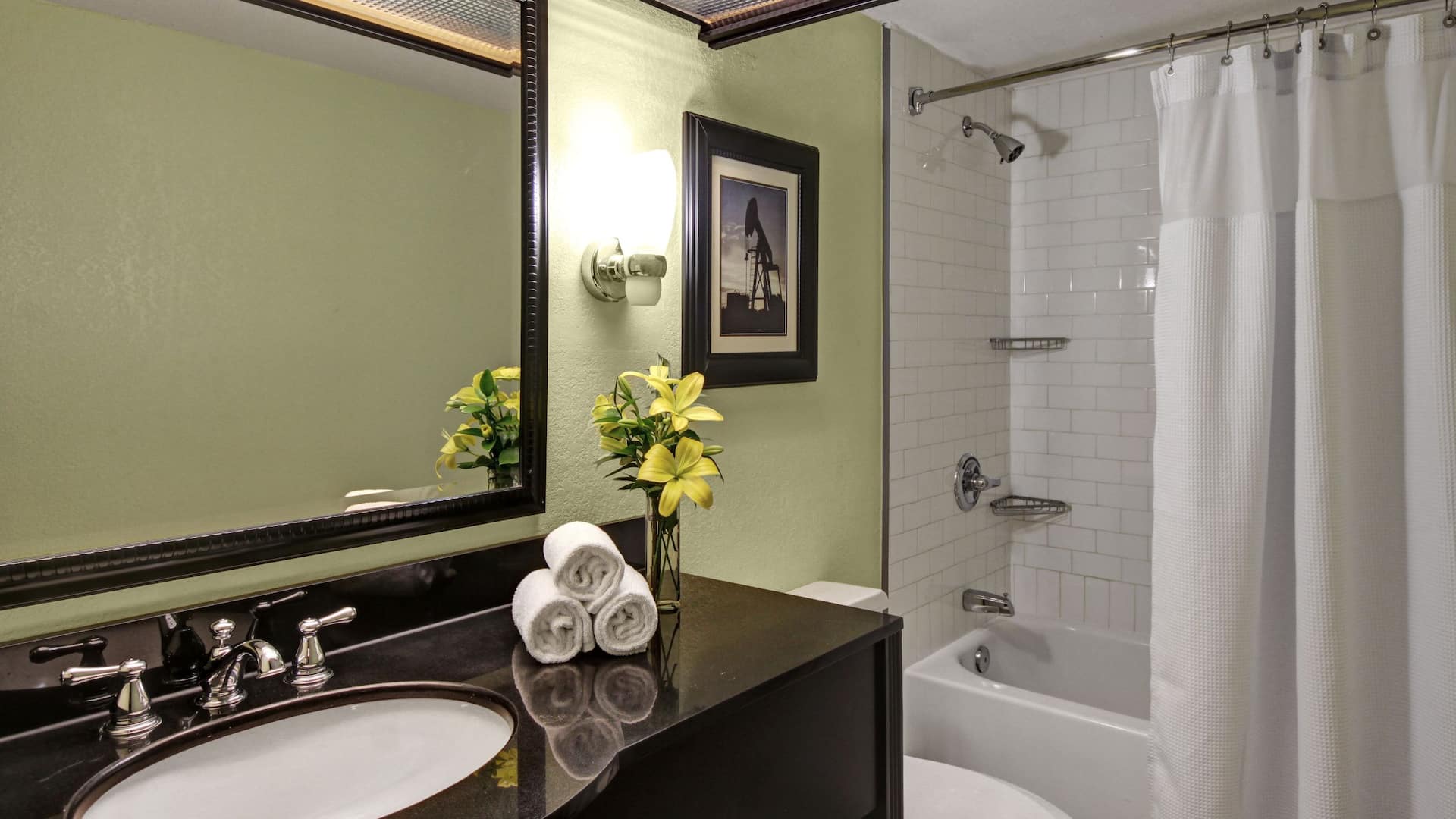 第 4，共 4 Hyatt Regency Tulsa Downtown Bathroom