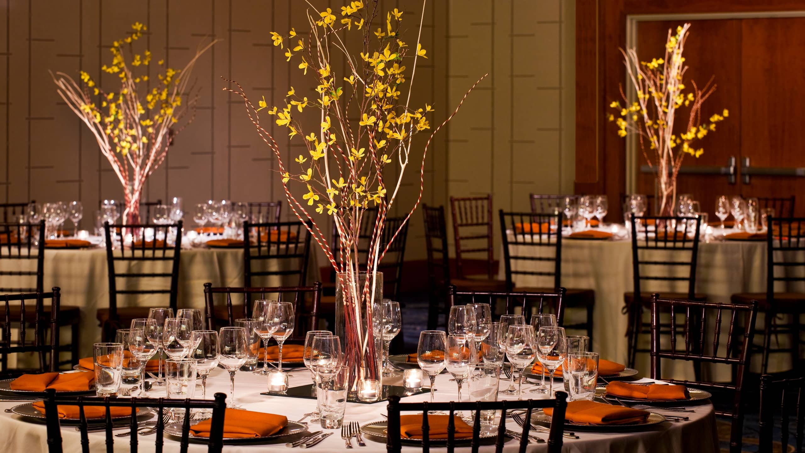 Hyatt Regency Greenville Ballroom Social
