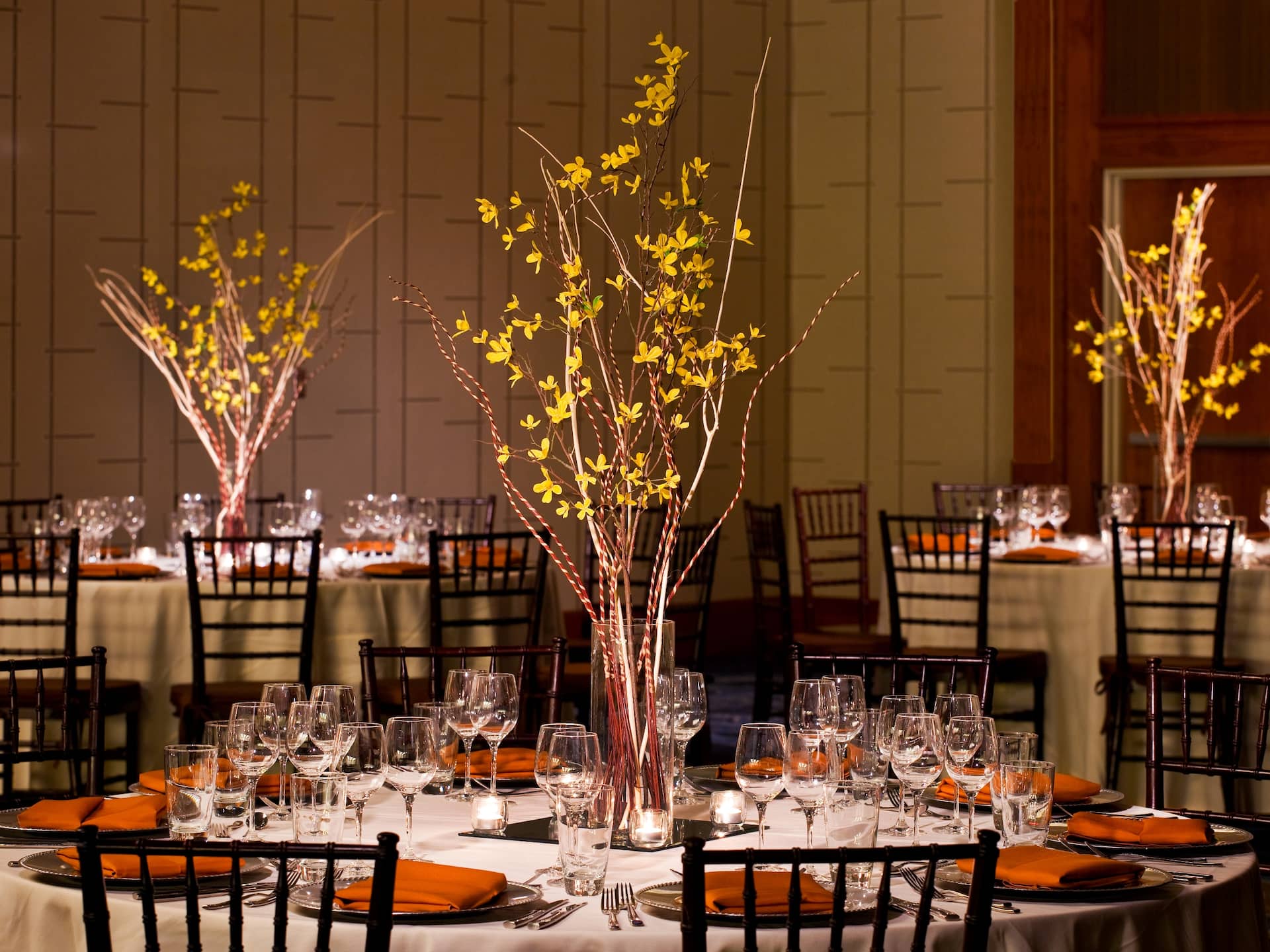 Hyatt Regency Greenville Ballroom Social