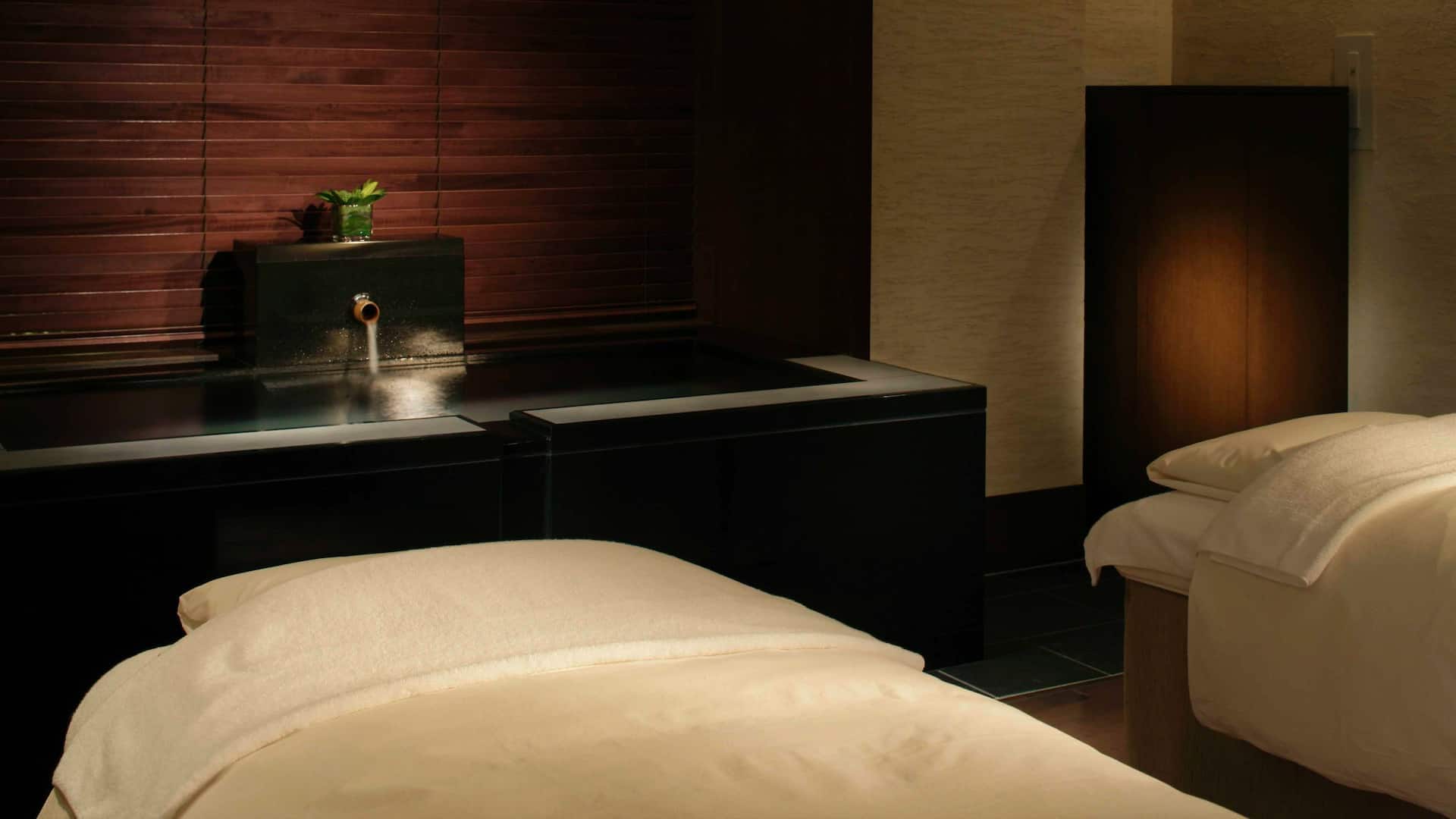 Hyatt Regency Hakone Resort and Spa Spa Treatment Room Twin