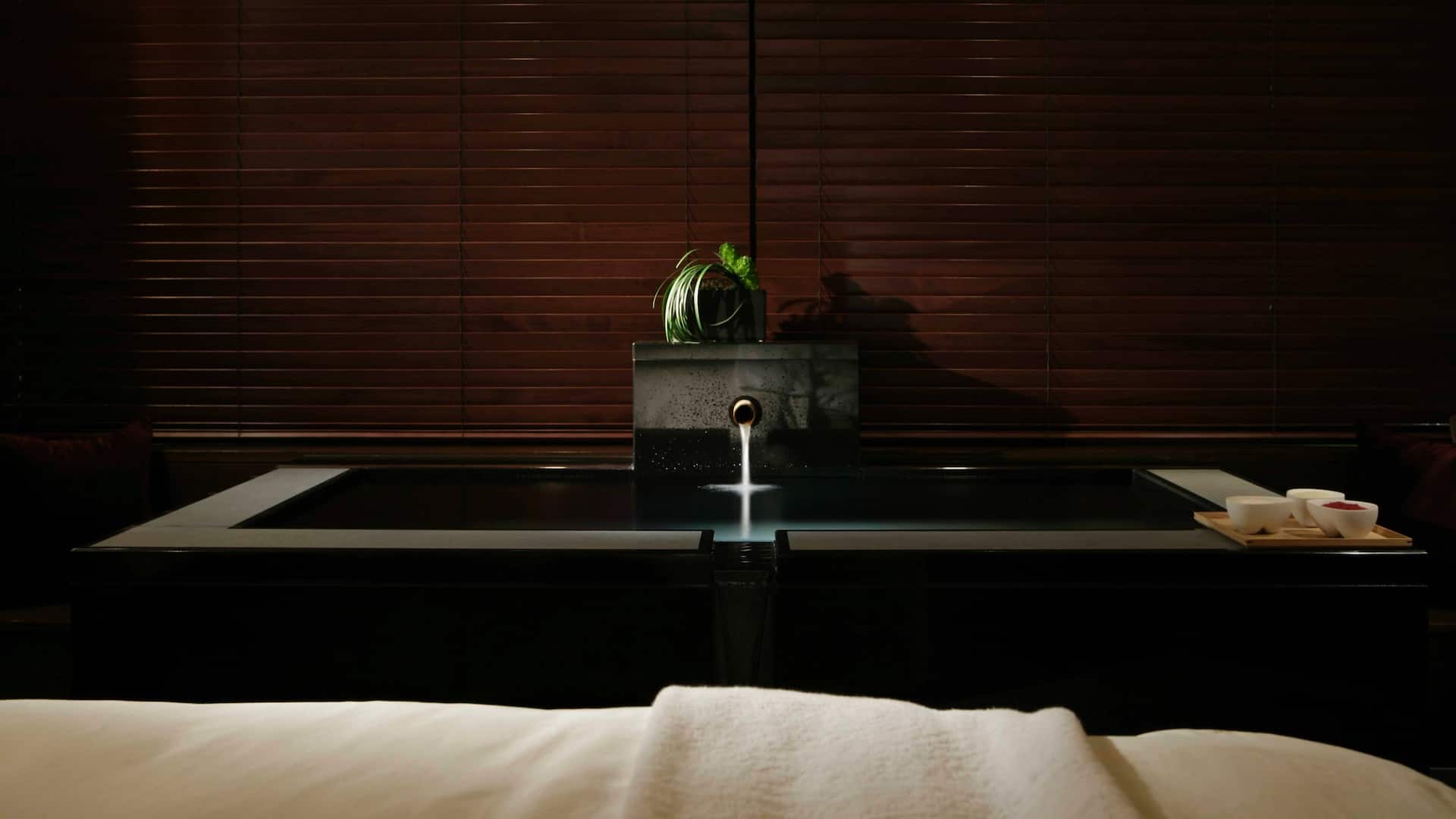 Hyatt Regency Hakone Resort and Spa Spa Treatment Room Single