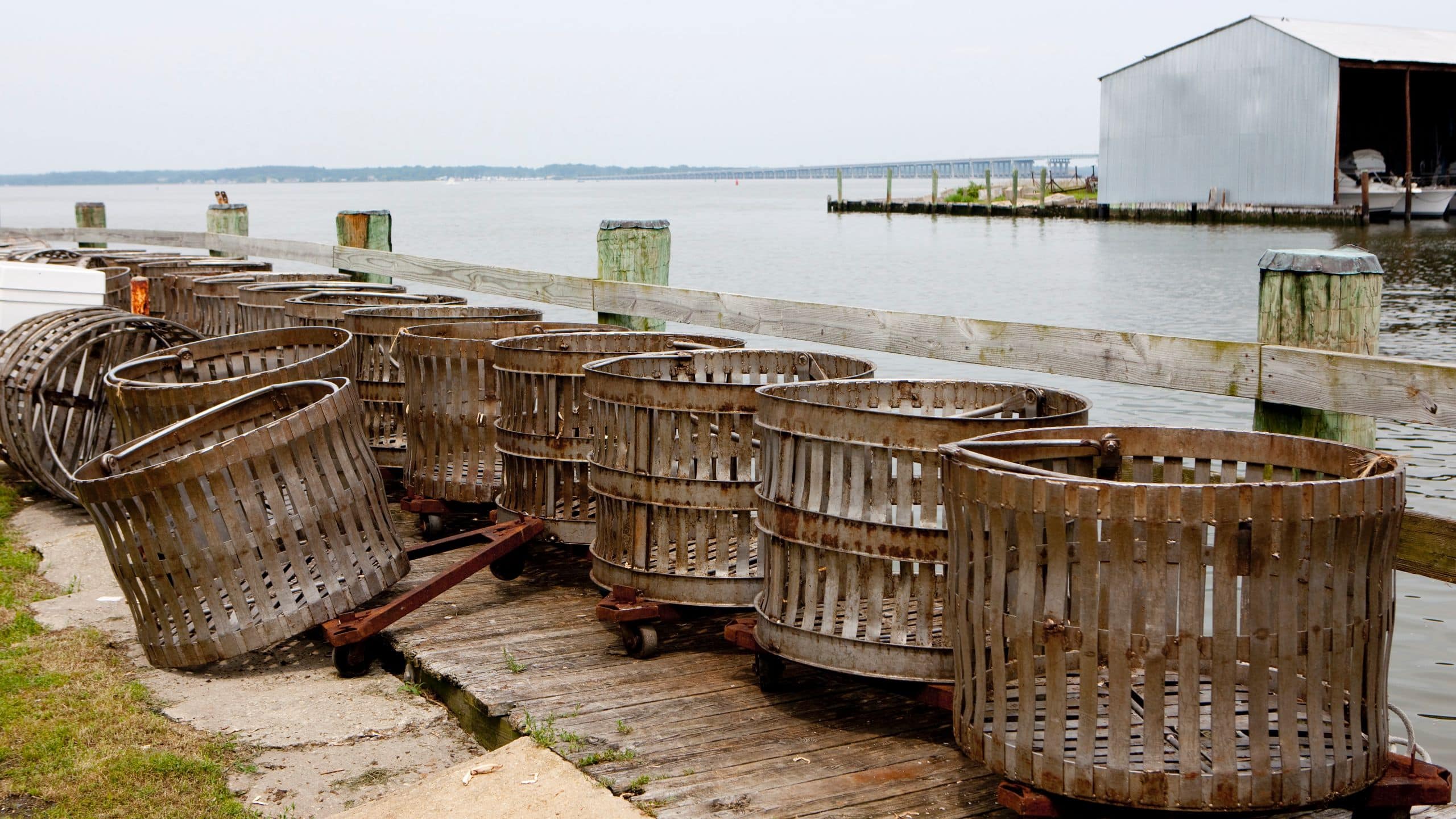 Hyatt Regency Chesapeake Bay Golf Resort, Spa and Marina Crab Baskets