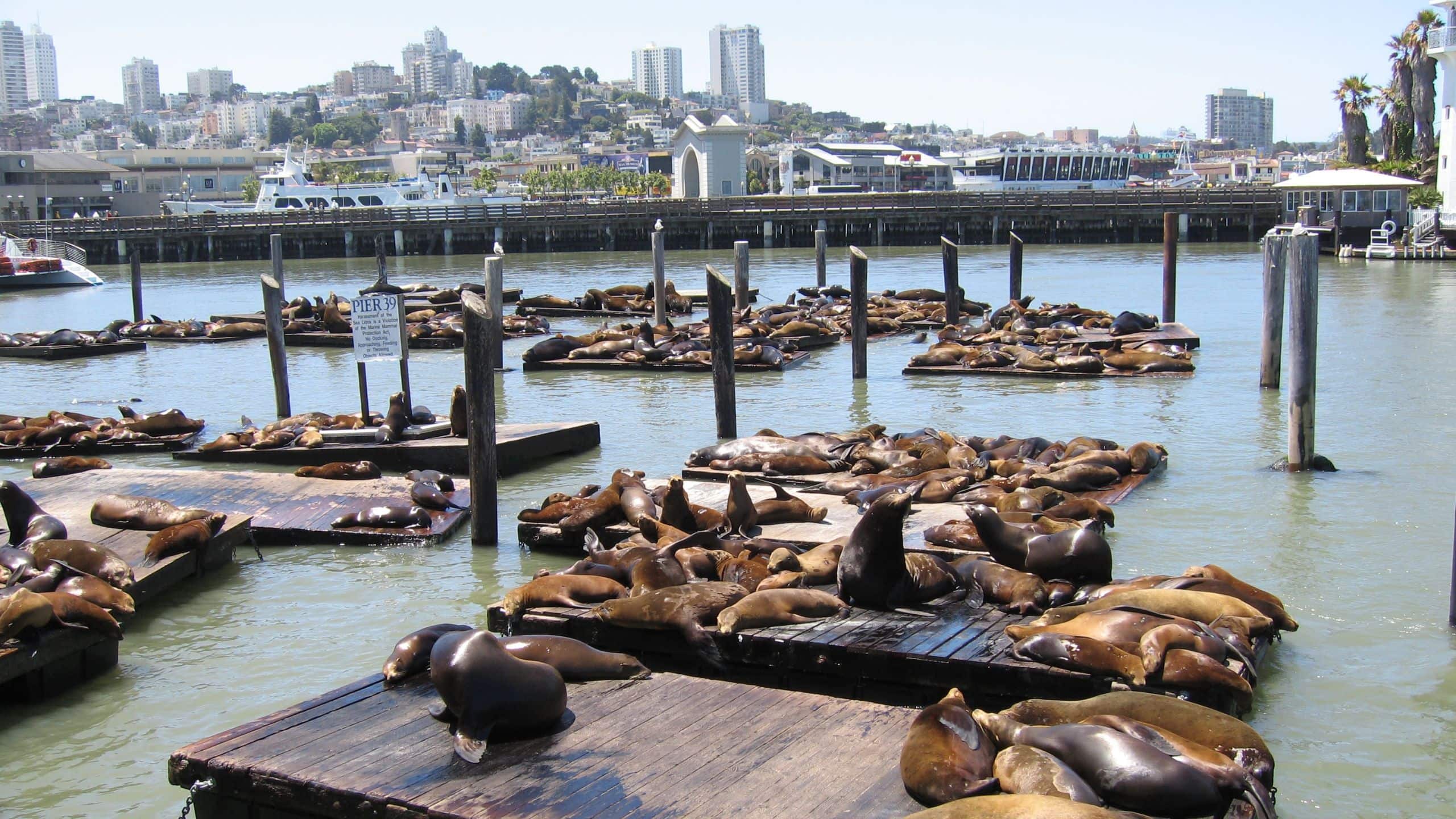 Hyatt Regency San Francisco Seals at Pier 39