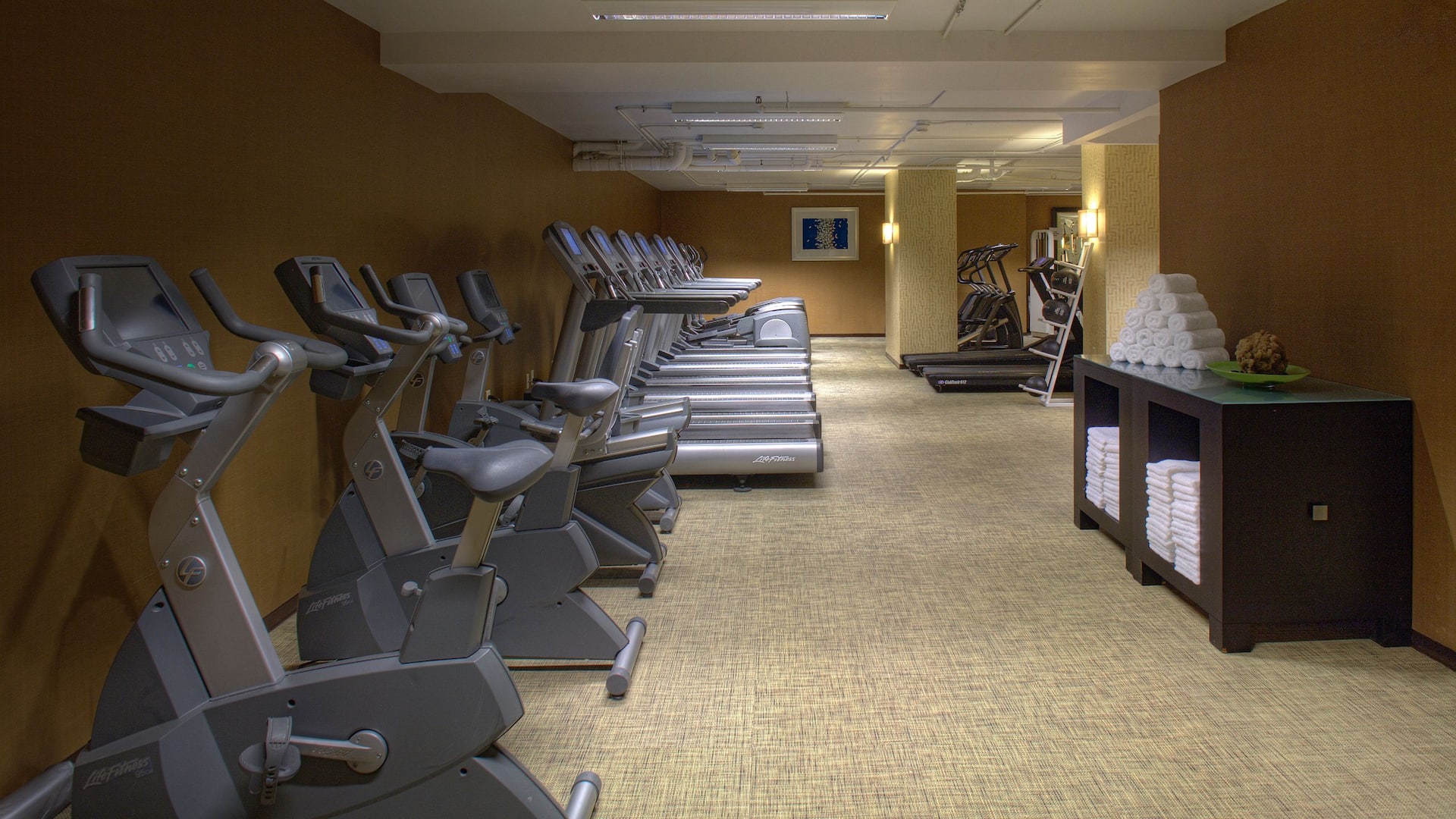 Hyatt Regency Reston Fitness Center