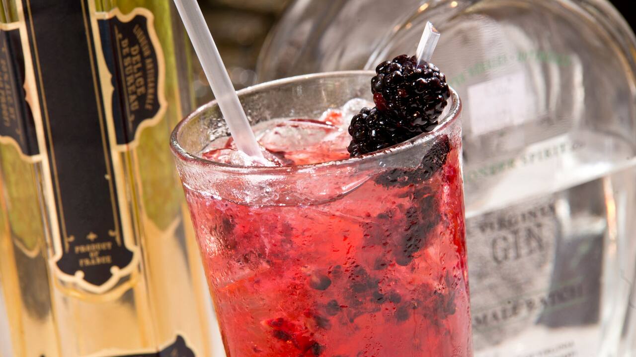 cocktails at Hyatt Regency Reston