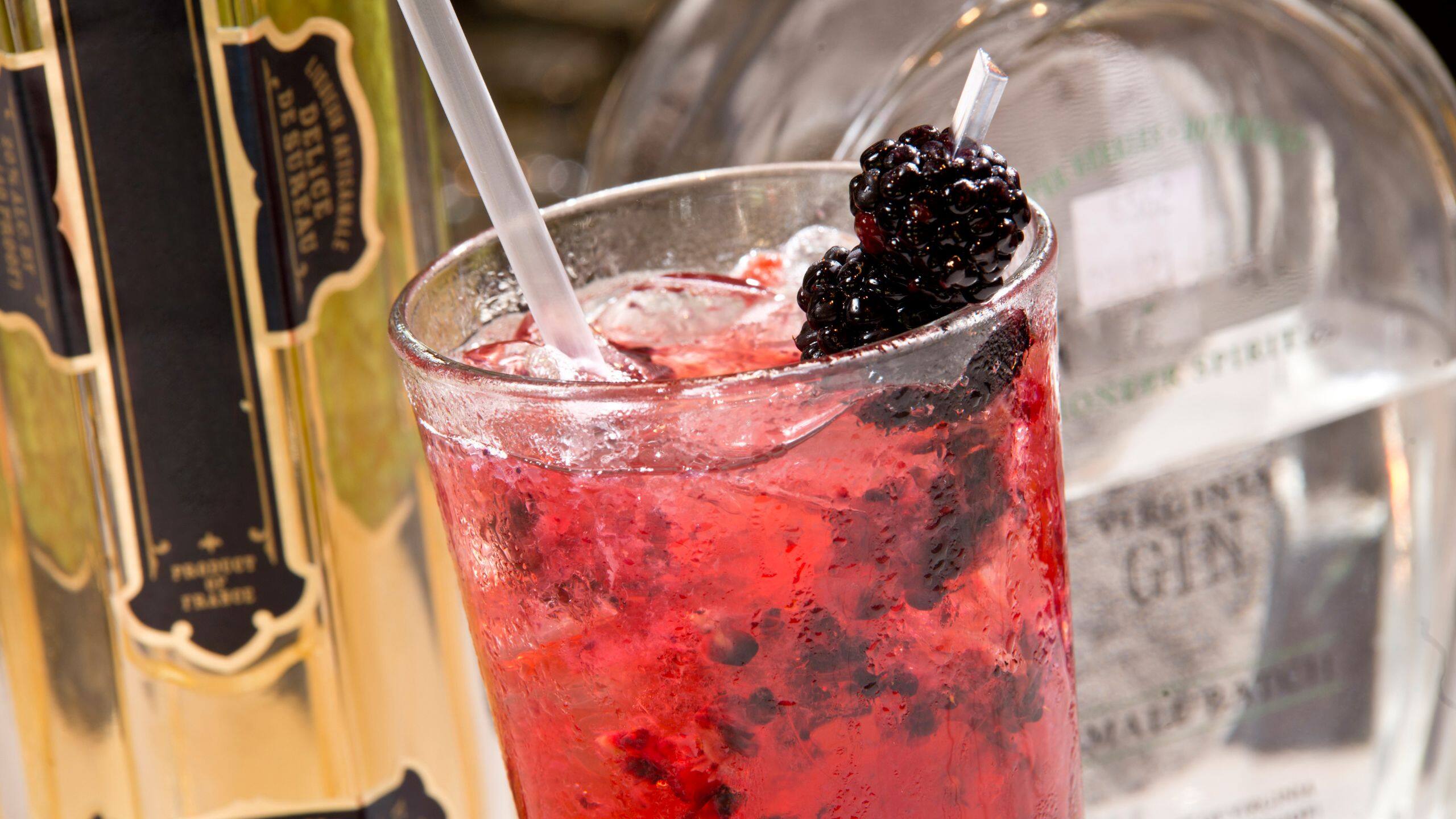 Hyatt Regency Reston A Bowmans Bramble