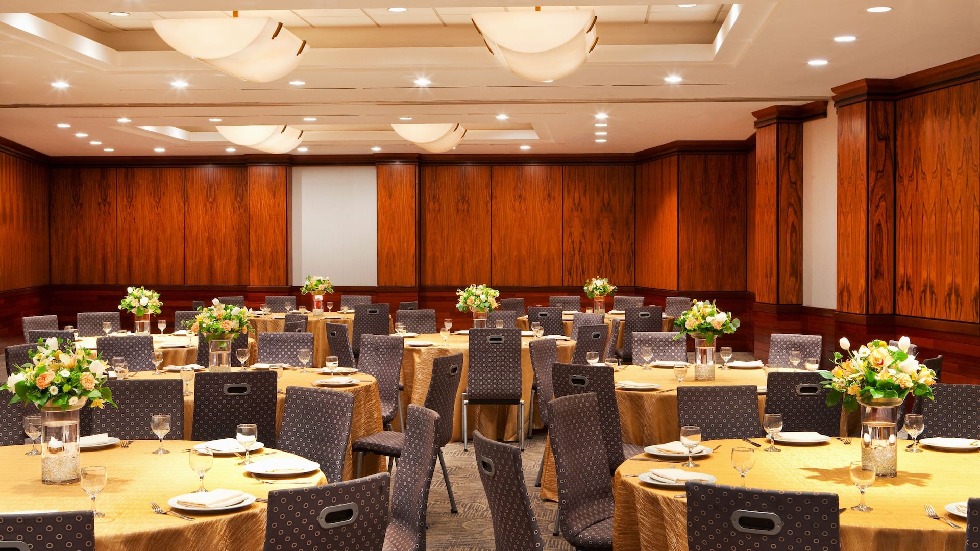 1 of 1 Hyatt Regency New Brunswick Social