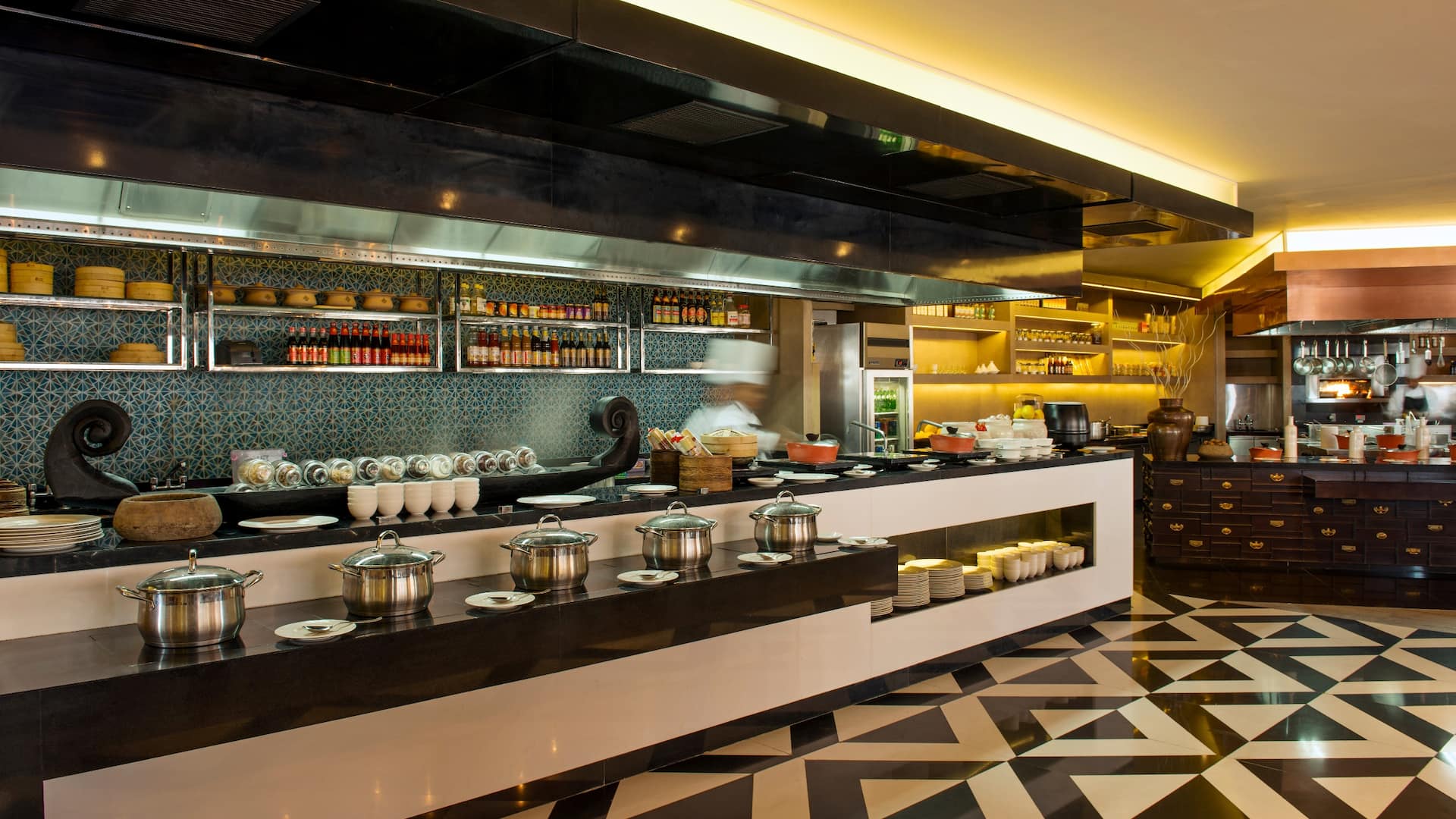 Hyatt Regency Ludhiana 95 Kitchen Chef