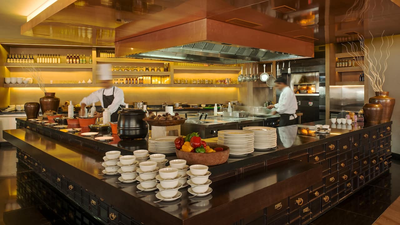 Hyatt Regency Ludhiana chef in kitchen at 95
