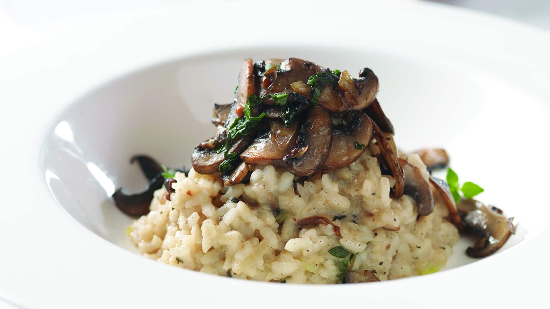 Hyatt Regency Kuantan Resort Mushroom Risotto
