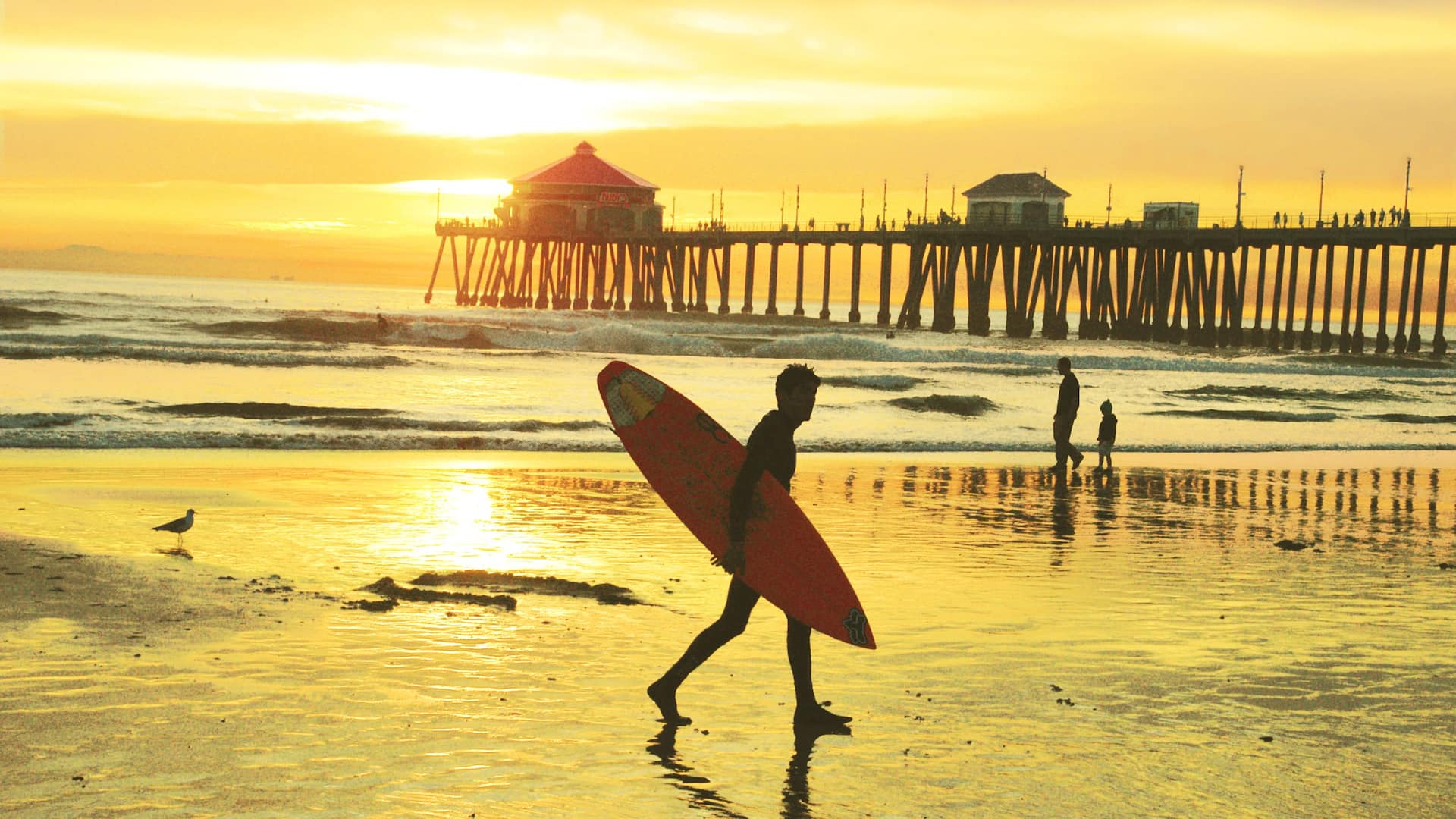 Hyatt Regency Orange County Huntington Beach Surfer