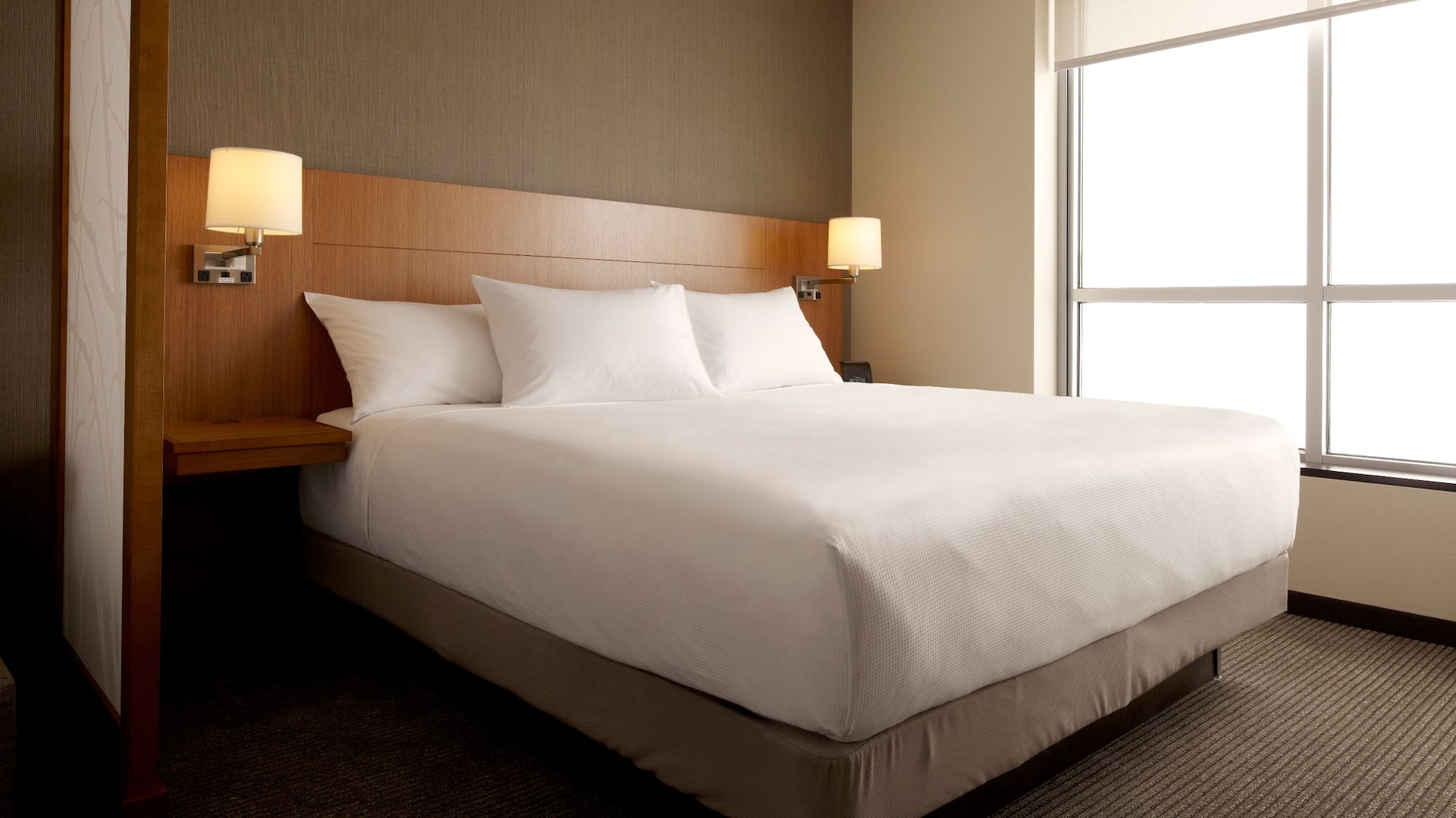 Hyatt Place King Bed