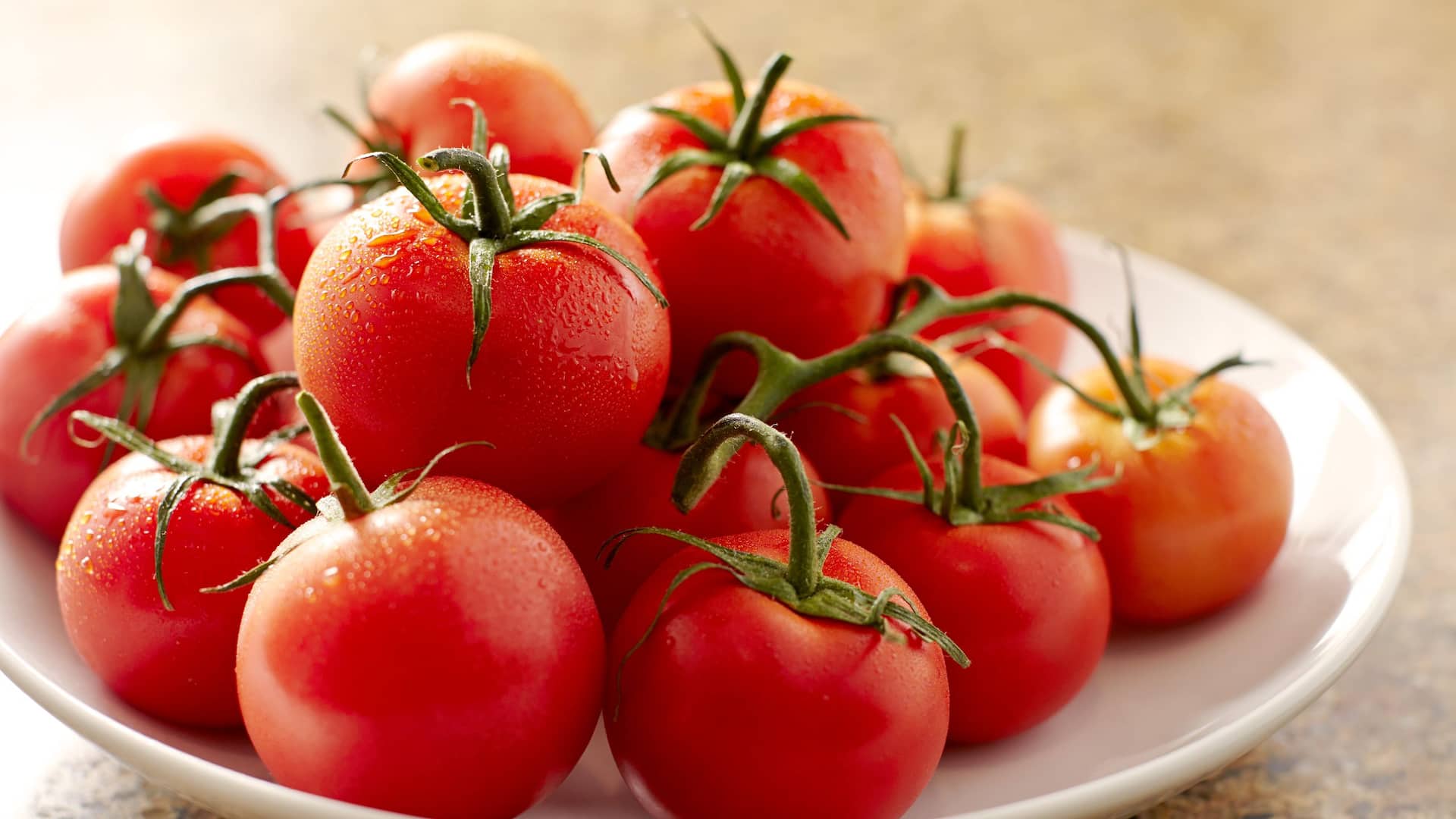 1 of 1 Hyatt Place HP_P250 Tomato