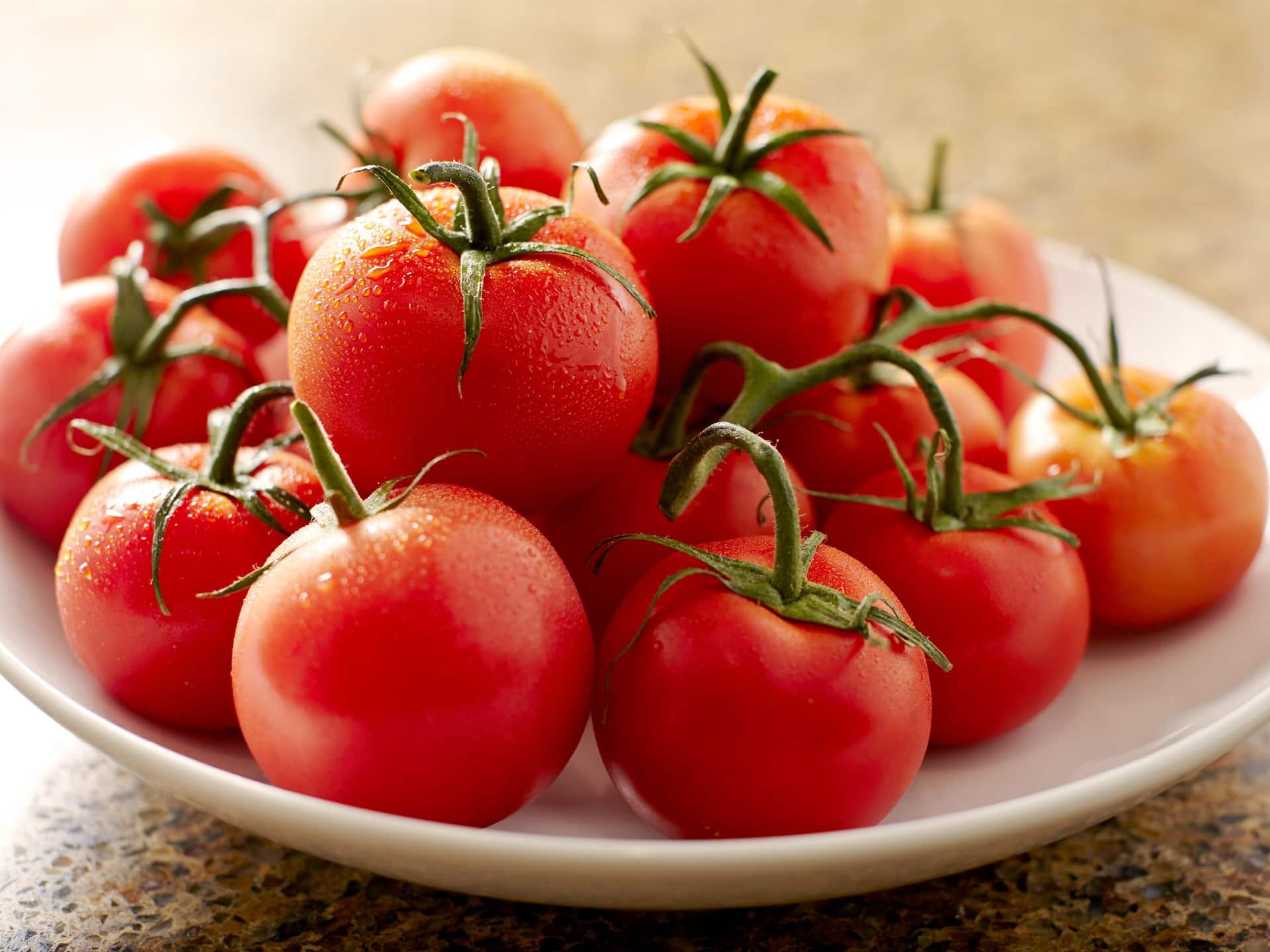 Hyatt Place HP_P250 Tomato