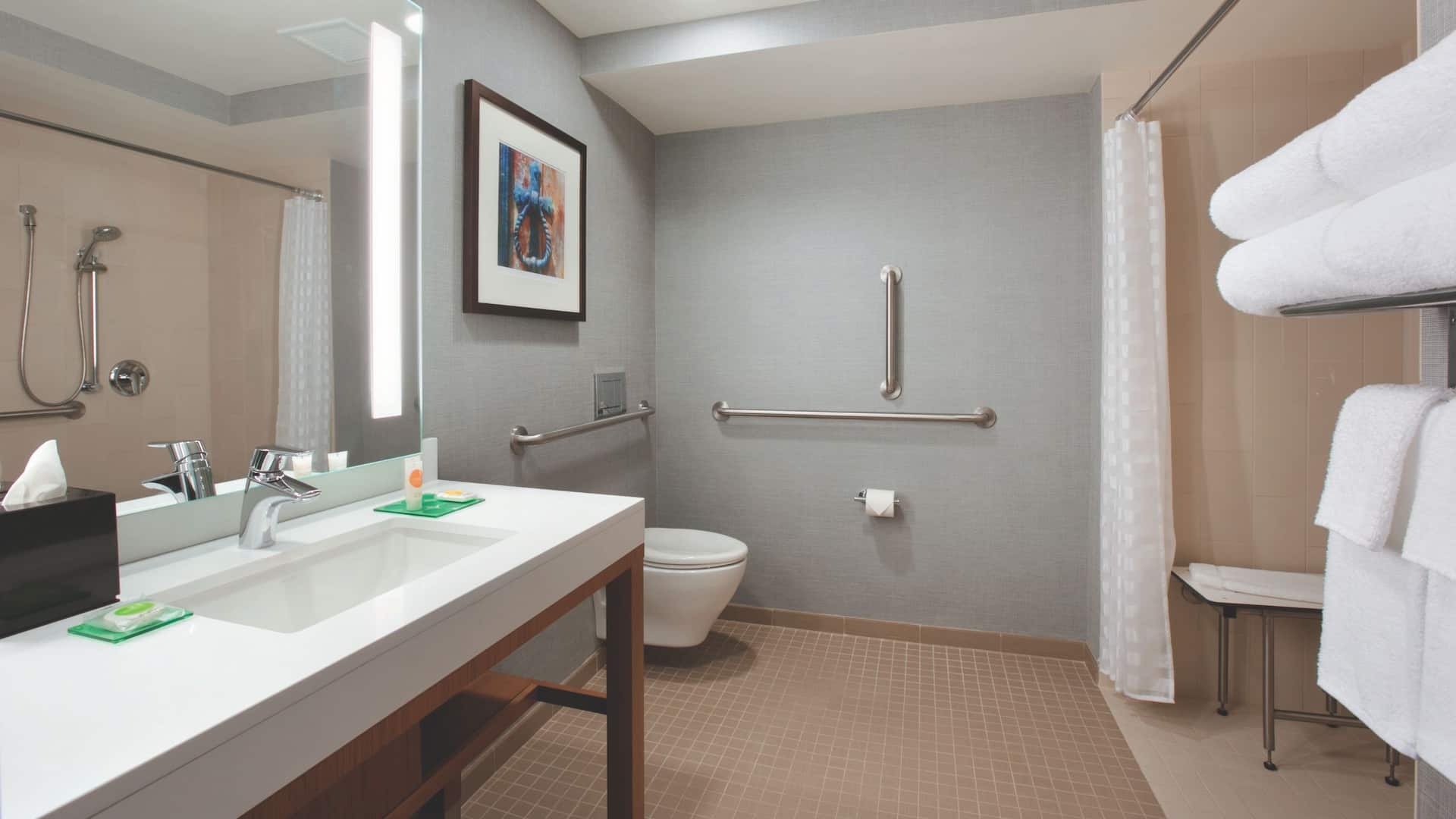 2 из 2 Hyatt Place Chicago-South/University Medical Center Accessible Bathroom Roll In