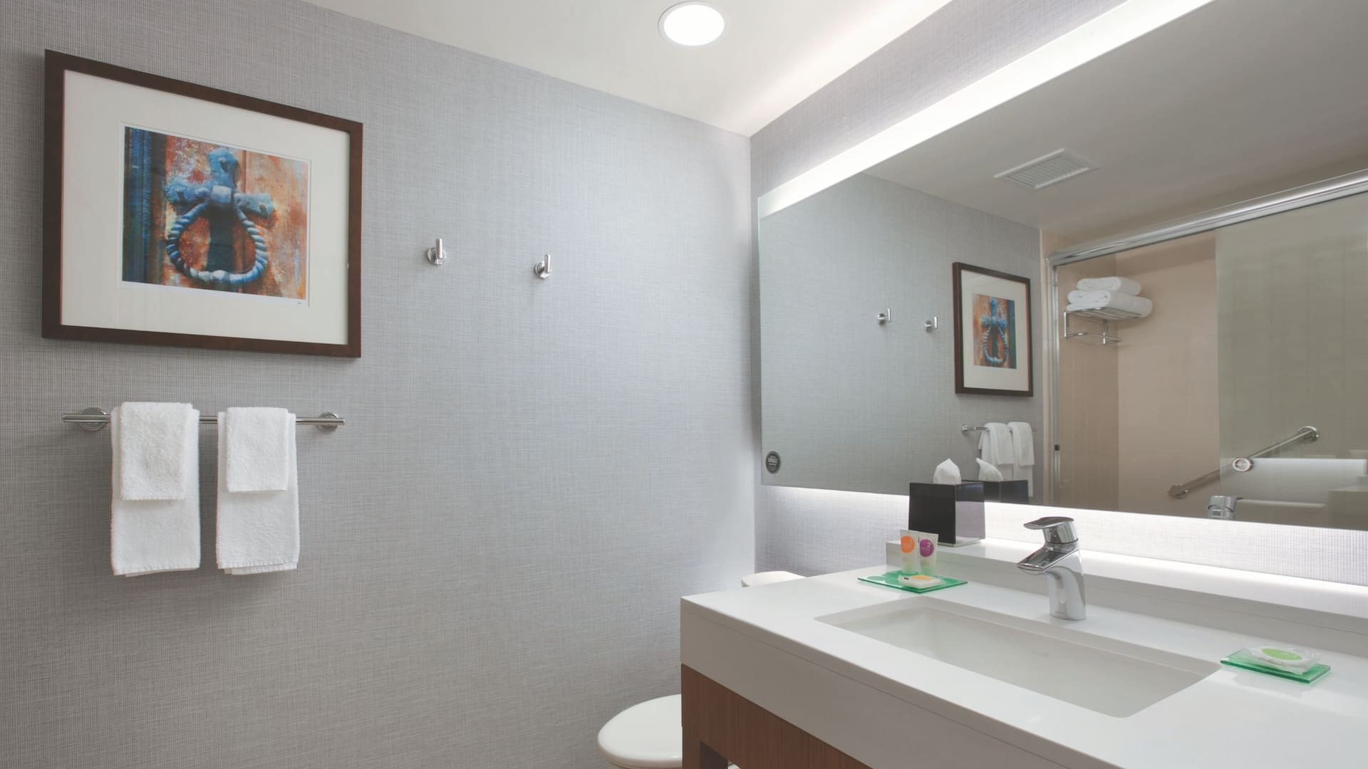 2 из 2 Hyatt Place Chicago-South/University Medical Center Guest Bathroom