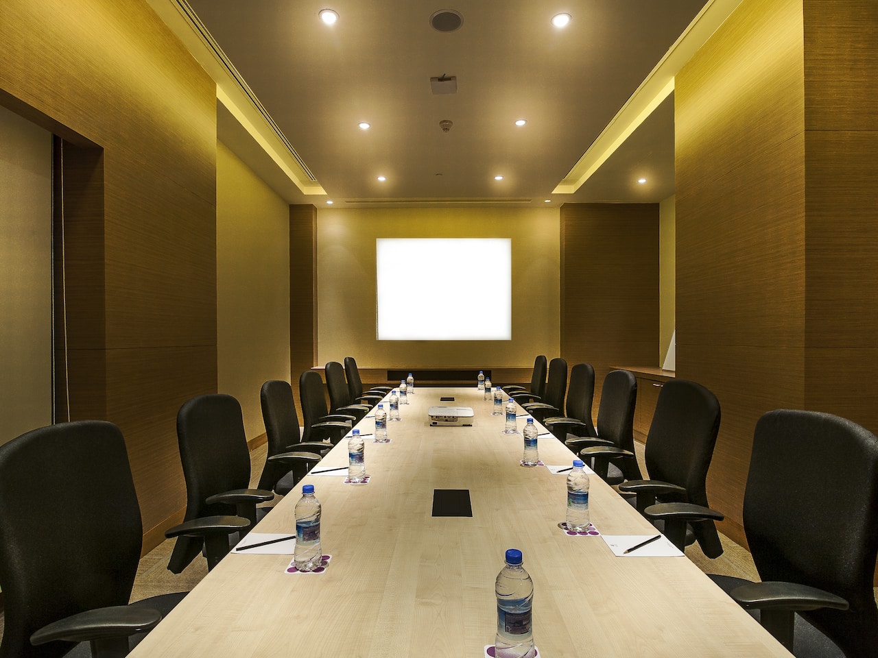 Meeting Room - Hyatt Place Hampi