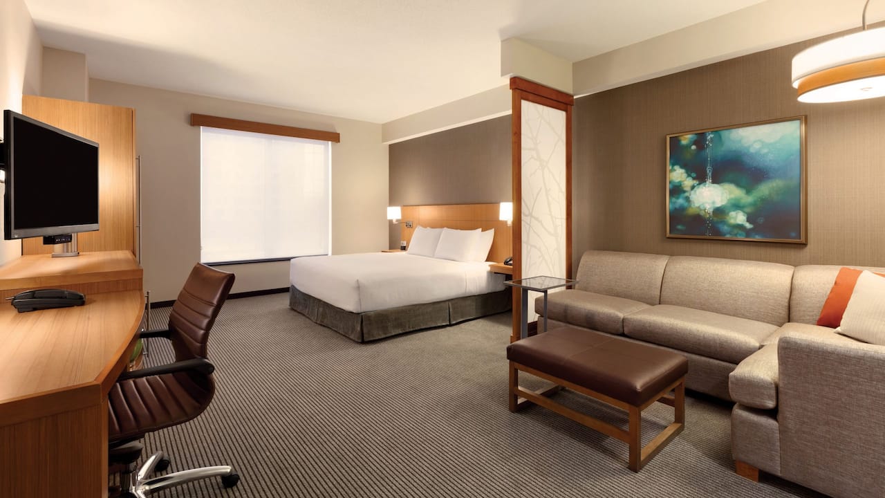 king bedroom with sofa bed