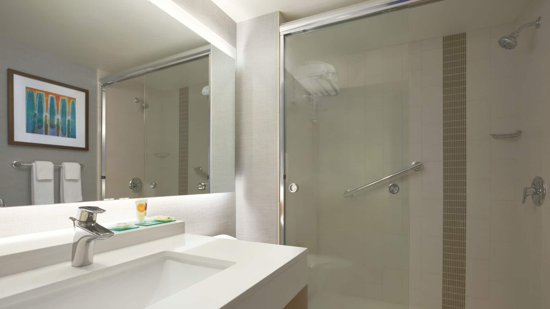 2/2 Hyatt Place Salt Lake City/Cottonwood Guestroom Bathroom