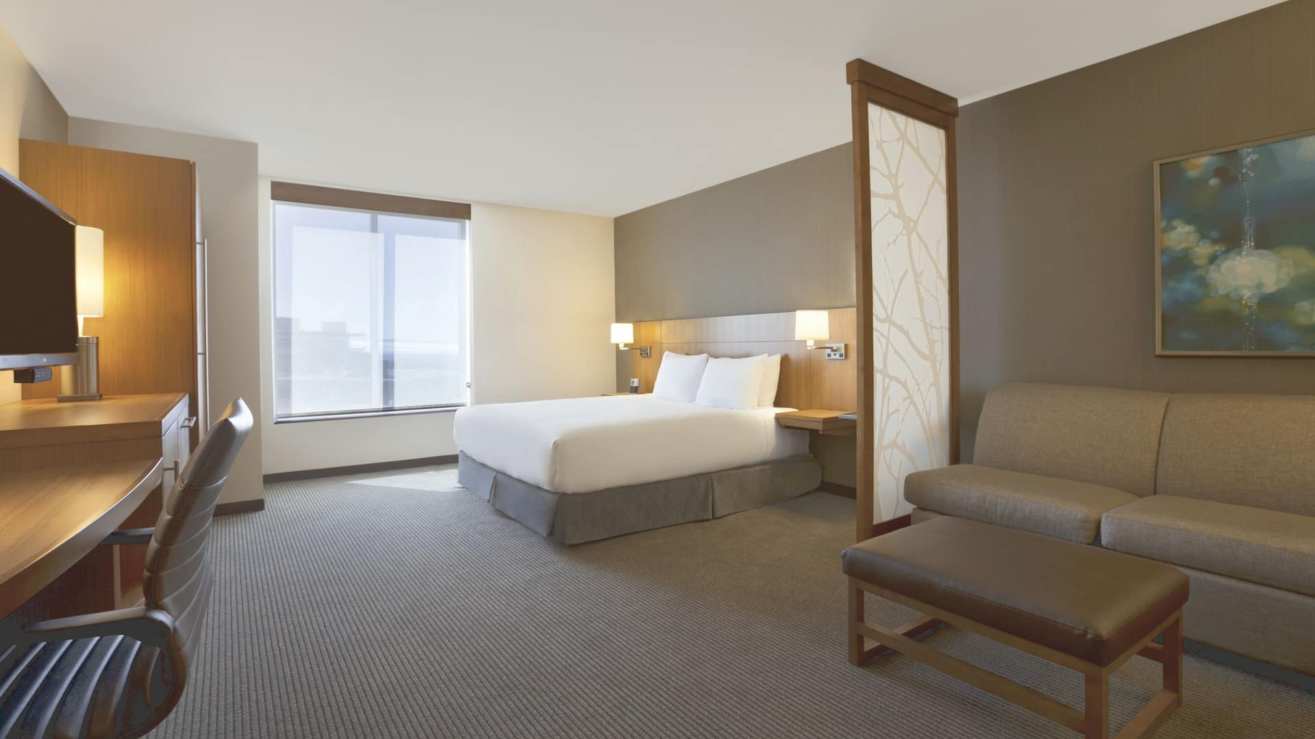 1/2 Hyatt Place Salt Lake City/Cottonwood King Accessible Room