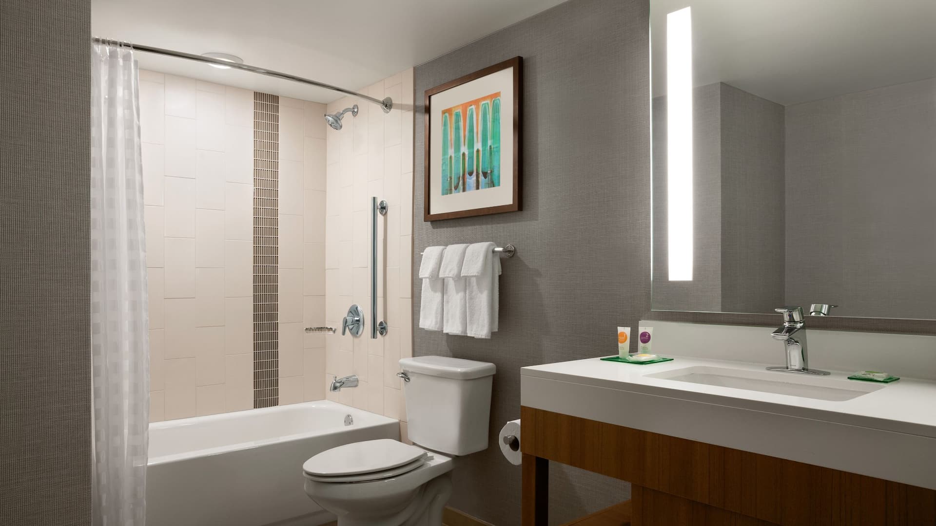 2 of 3 Hyatt Place Minneapolis/Downtown ADA Bathroom Tub