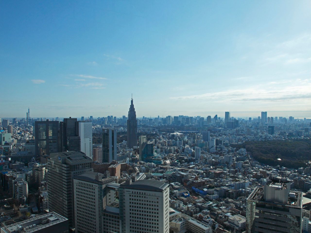 Tokyo City View
