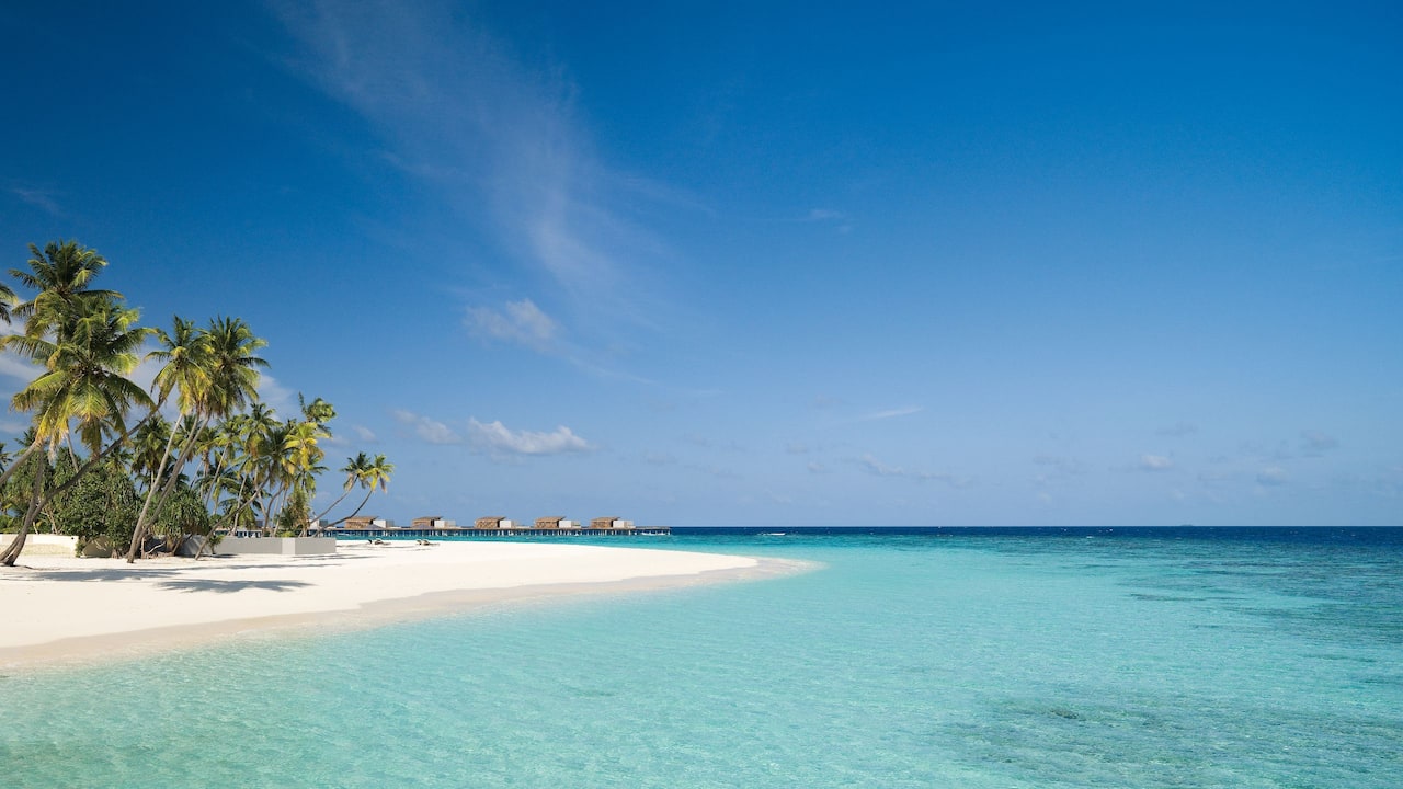 All natural soft white sand