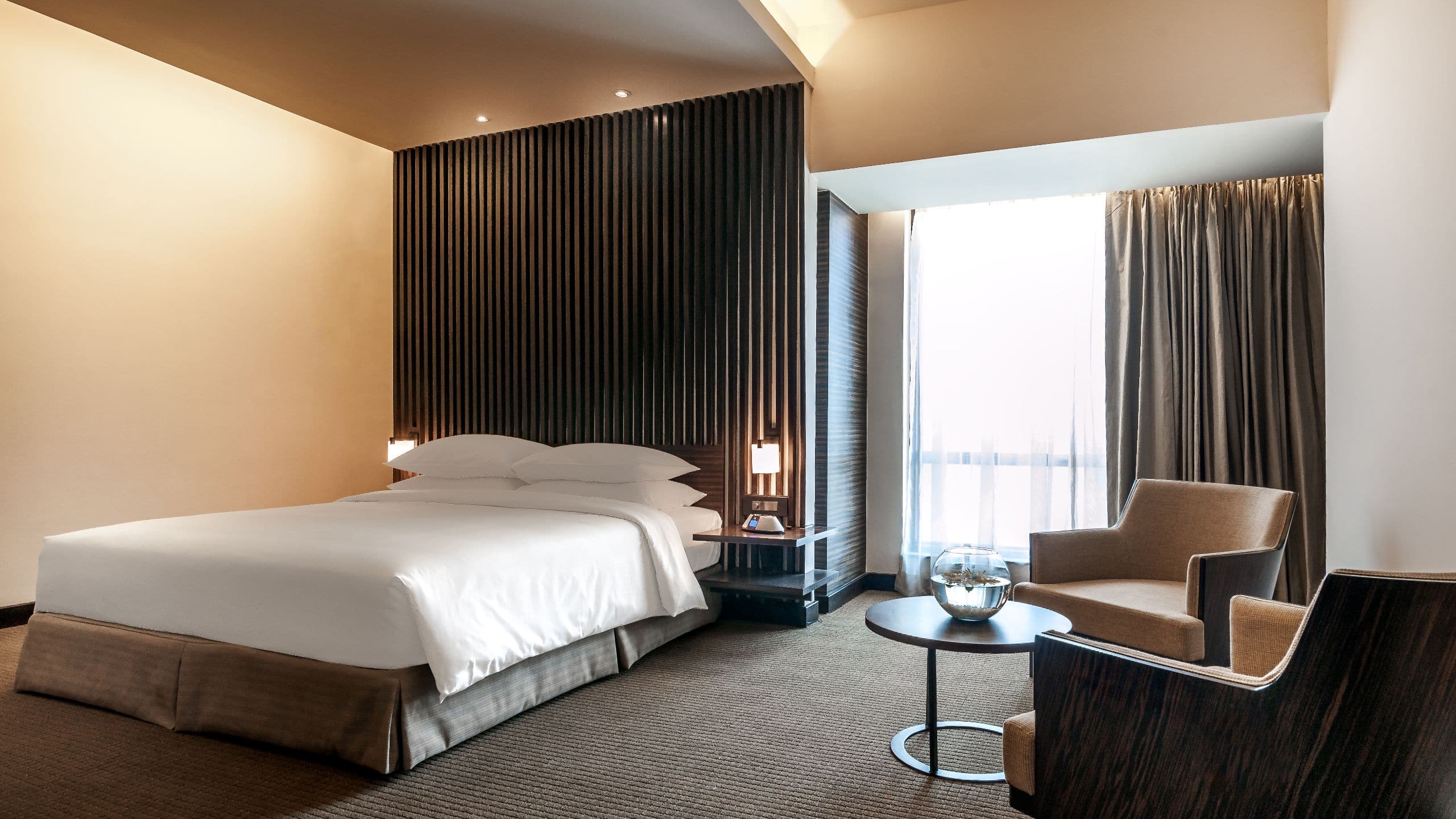 第 3，共 3 Hyatt Raipur Executive Suite