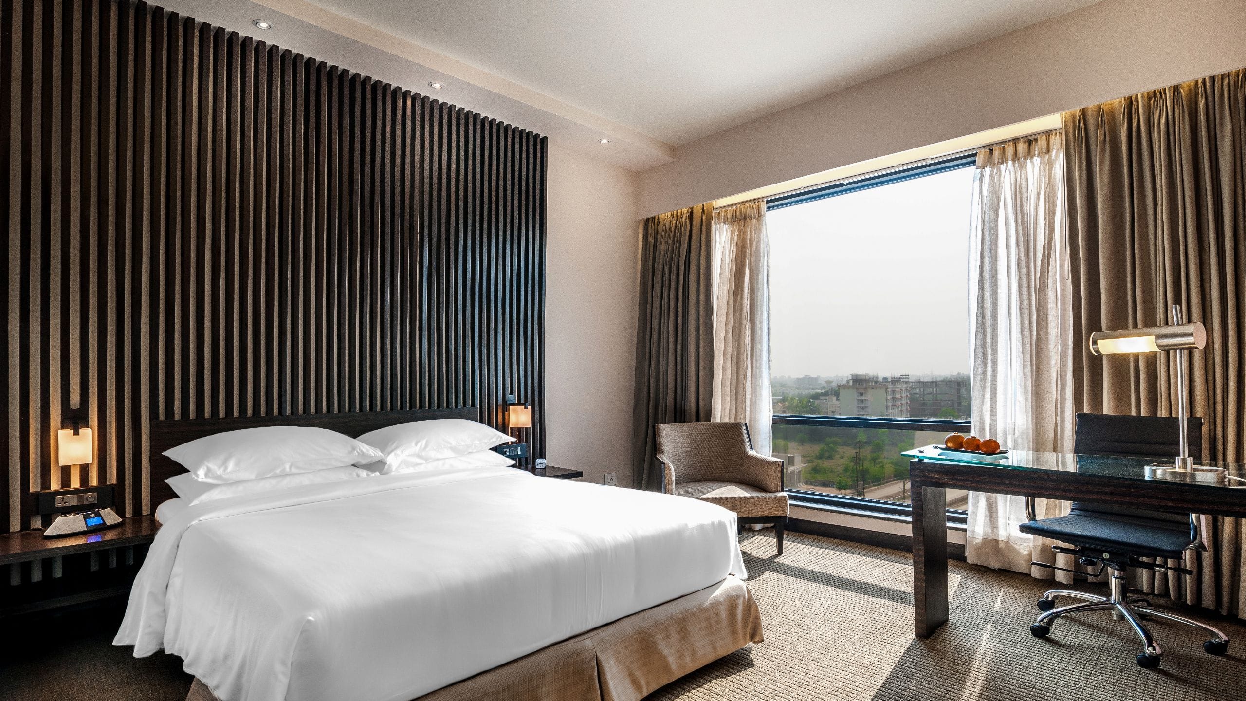 Hyatt Raipur Standard Room