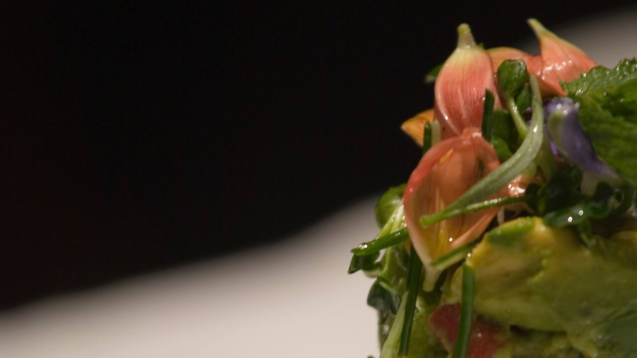 Avocado