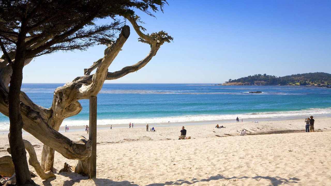Hyatt Carmel Beach