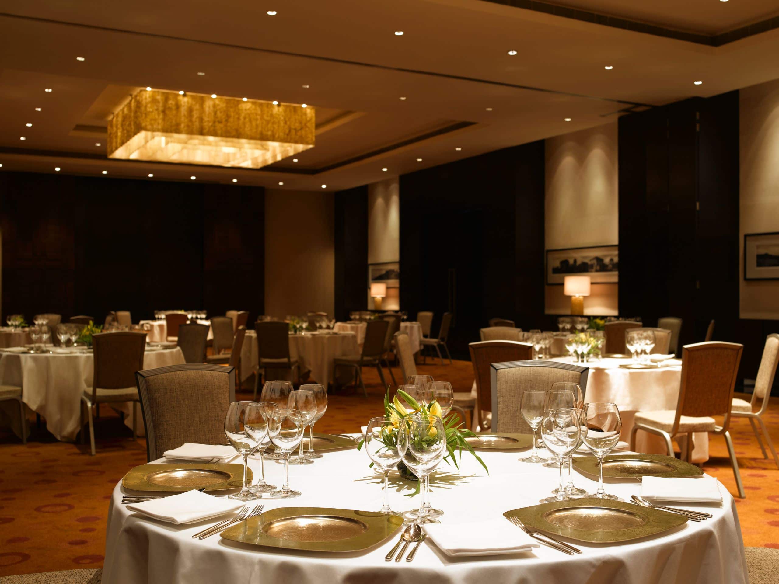 Hyatt Hyderabad Gachibowli Meetings