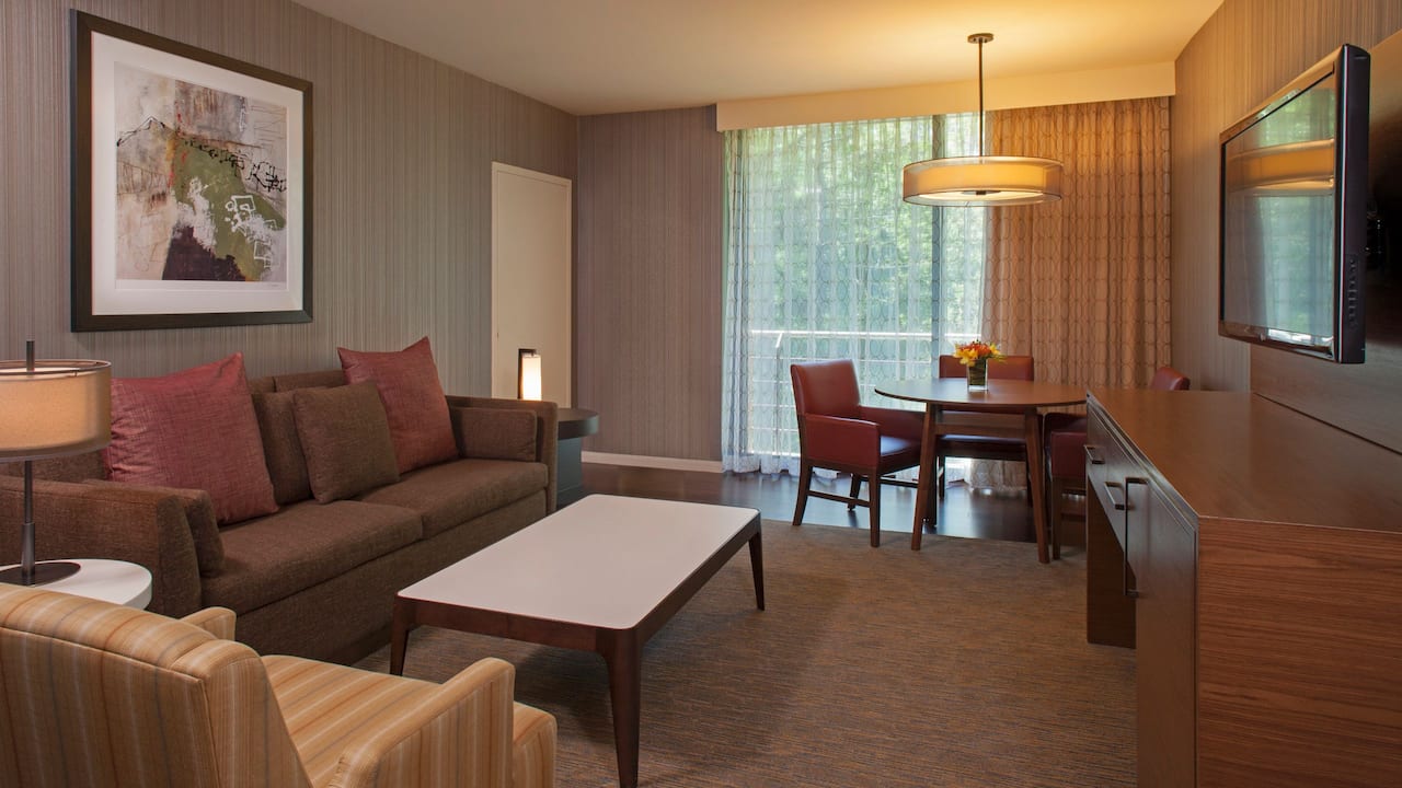 Parlor Suite Living Area