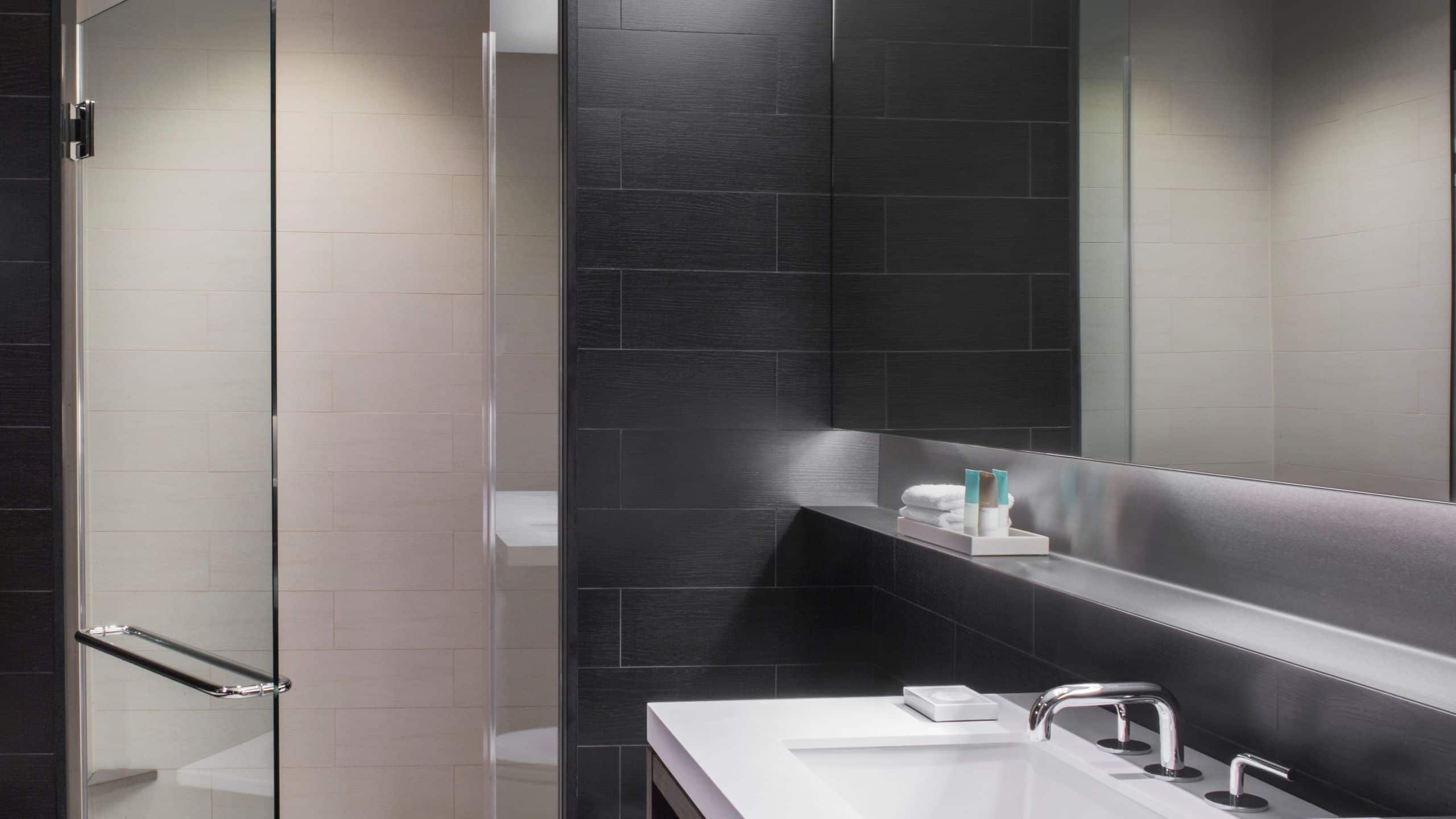 2 of 3 Hyatt Centric Times Square New York Standard Bath