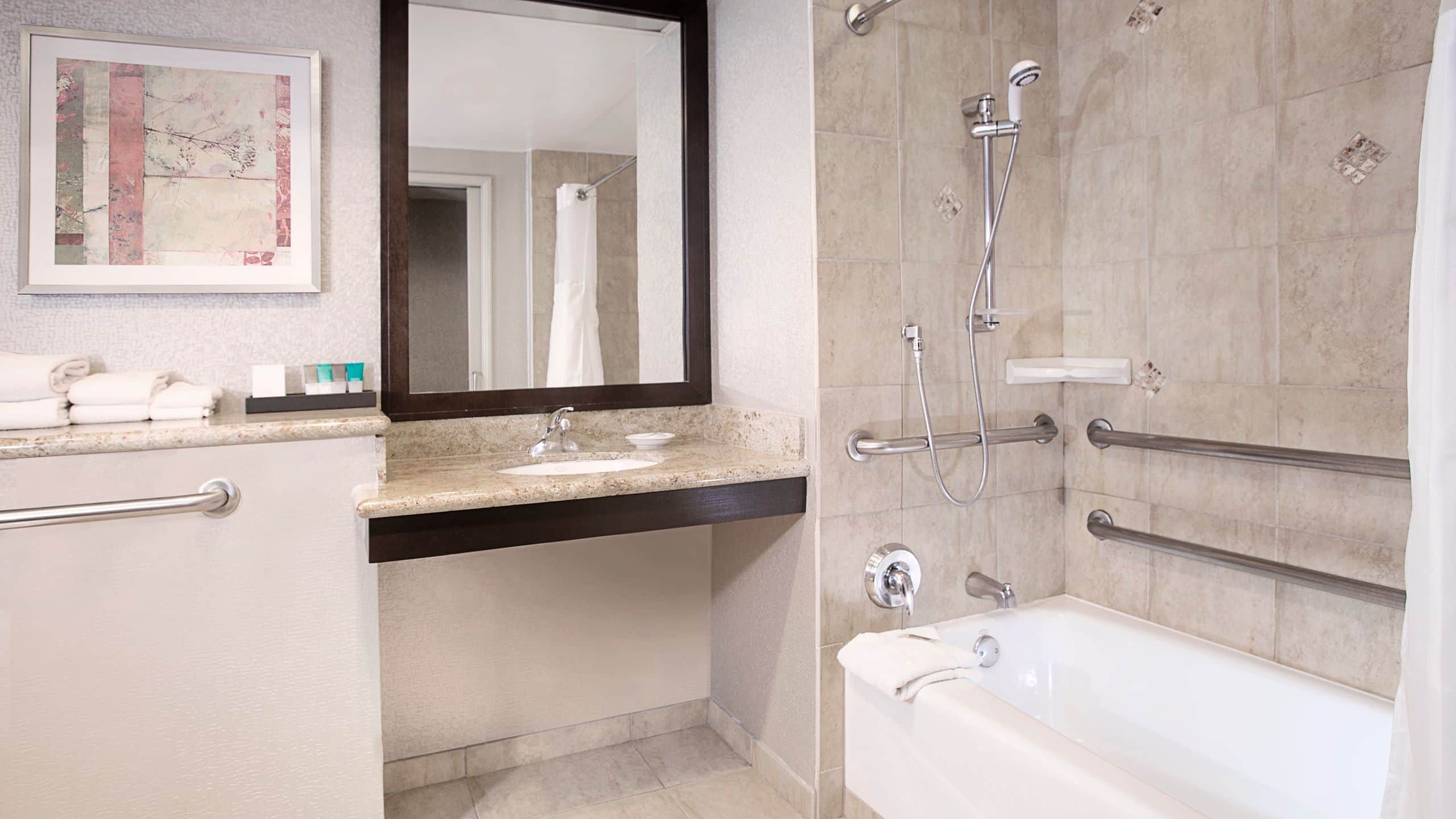 1 of 1 Hyatt Palm Springs Accessible King Bathroom Tub