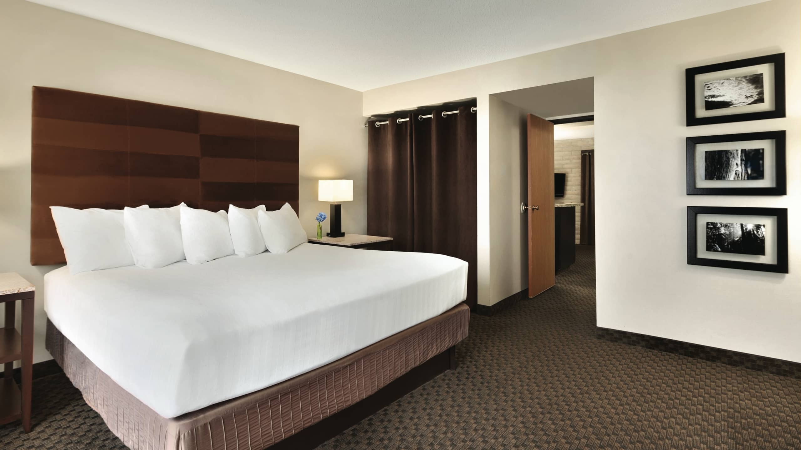 Hyatt Regency Green Bay Standard King Bedroom