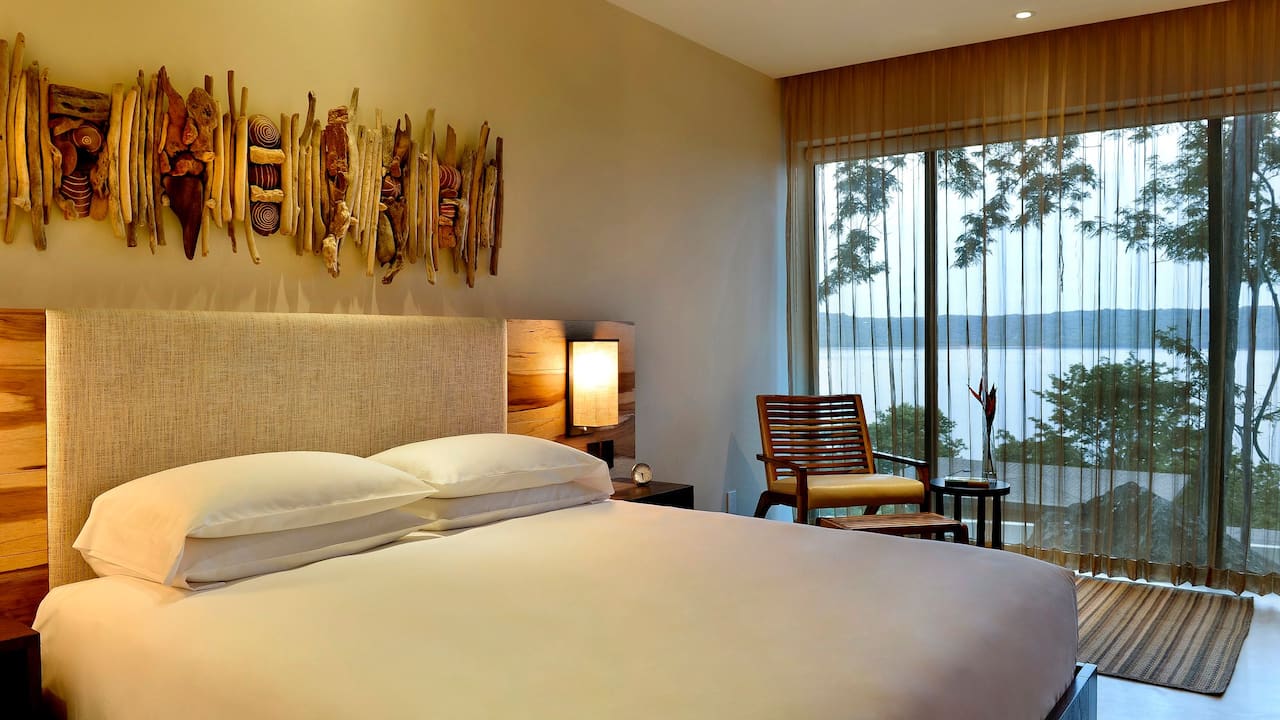 Andaz King Bed View