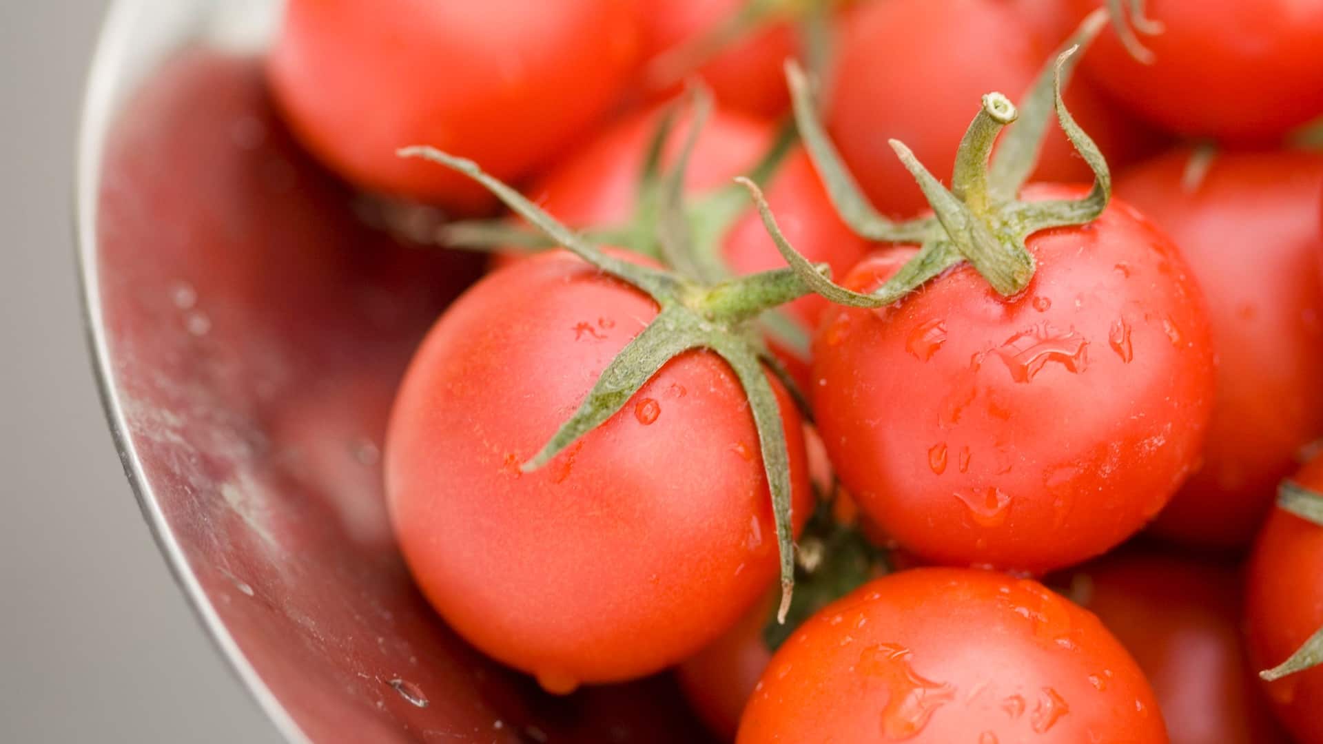 Global Bowl of Tomatoes